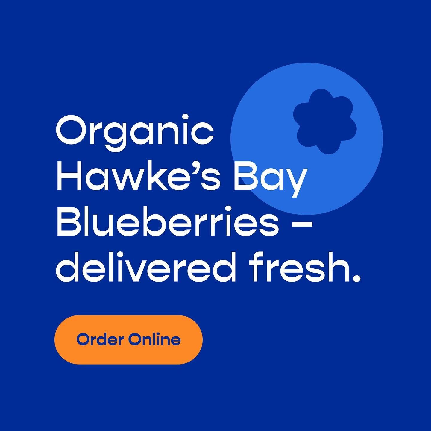 Boost your day with the Berry best!
Picked and delivered fresh, order your blueberries online now! 

Link in bio🫐

#trueearth #trueearthblueberries #blueberryharvest #nzgrown #nzblueberries #blueberriesnz #blueberries #blueberry #superfruit #antioxi