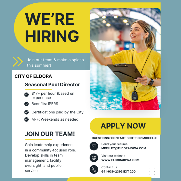 Pool Director