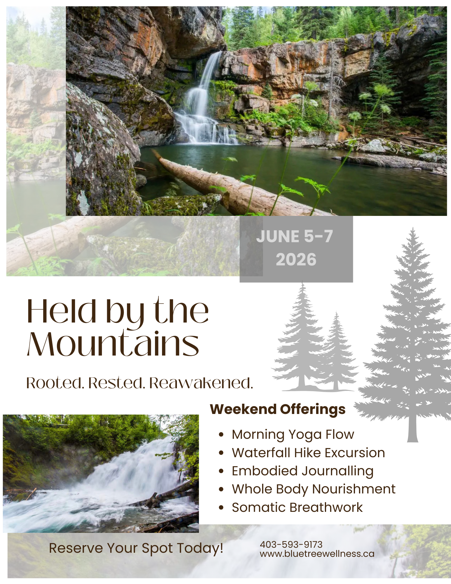 Green and Brown Natural Modern Wellness Retreat Flyer.png