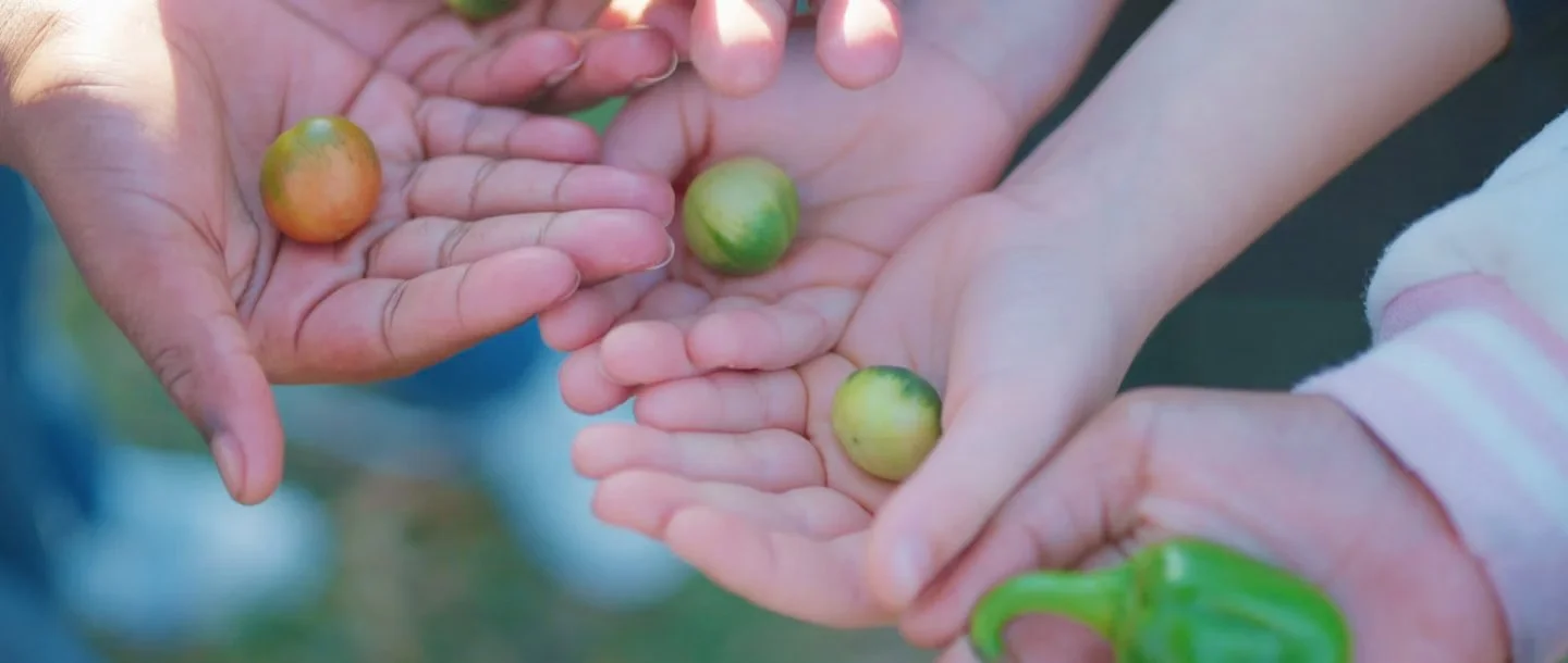 Fueling change: How food is powering health across North Carolina