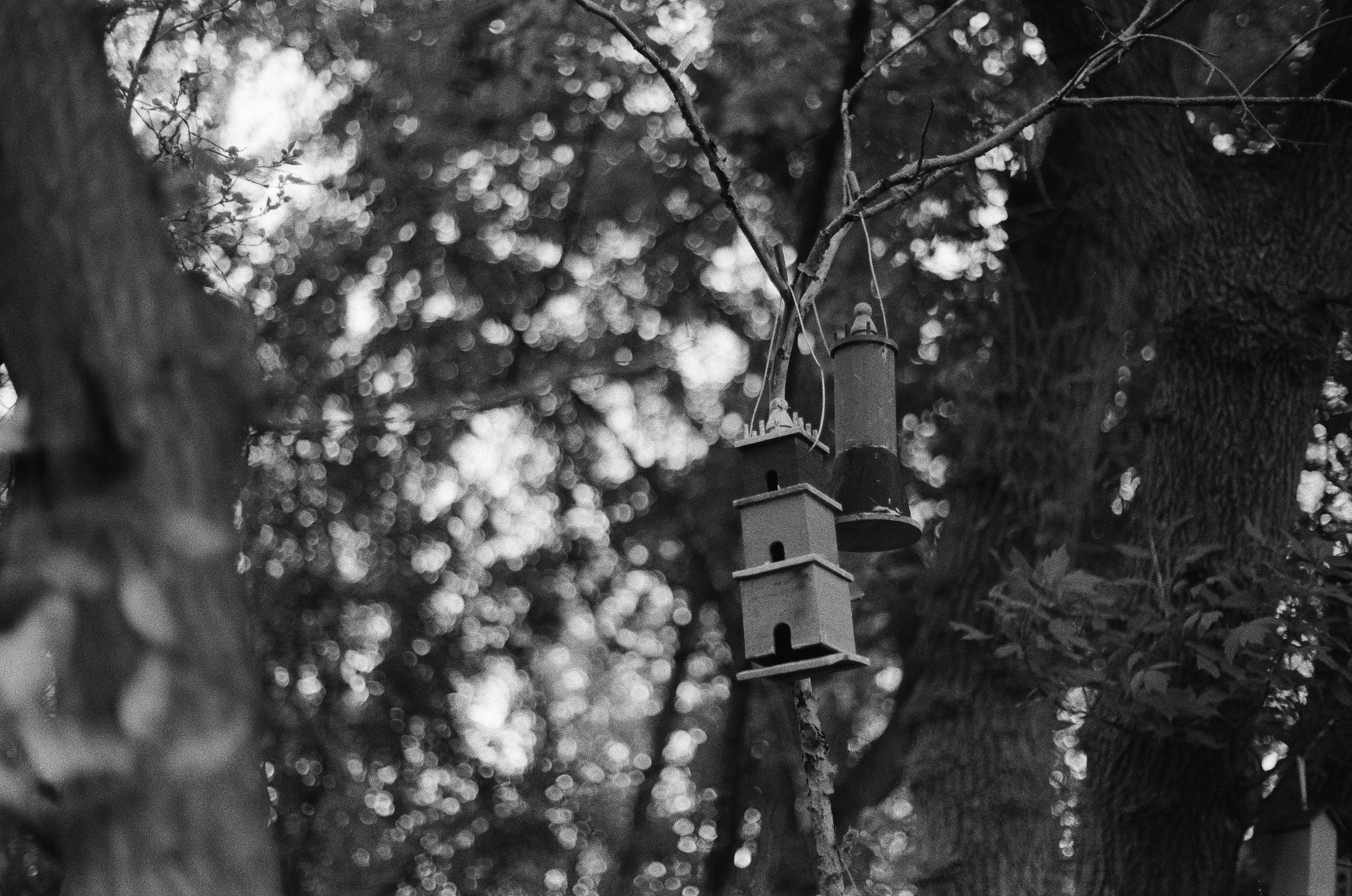 260522_WEB-23.jpg