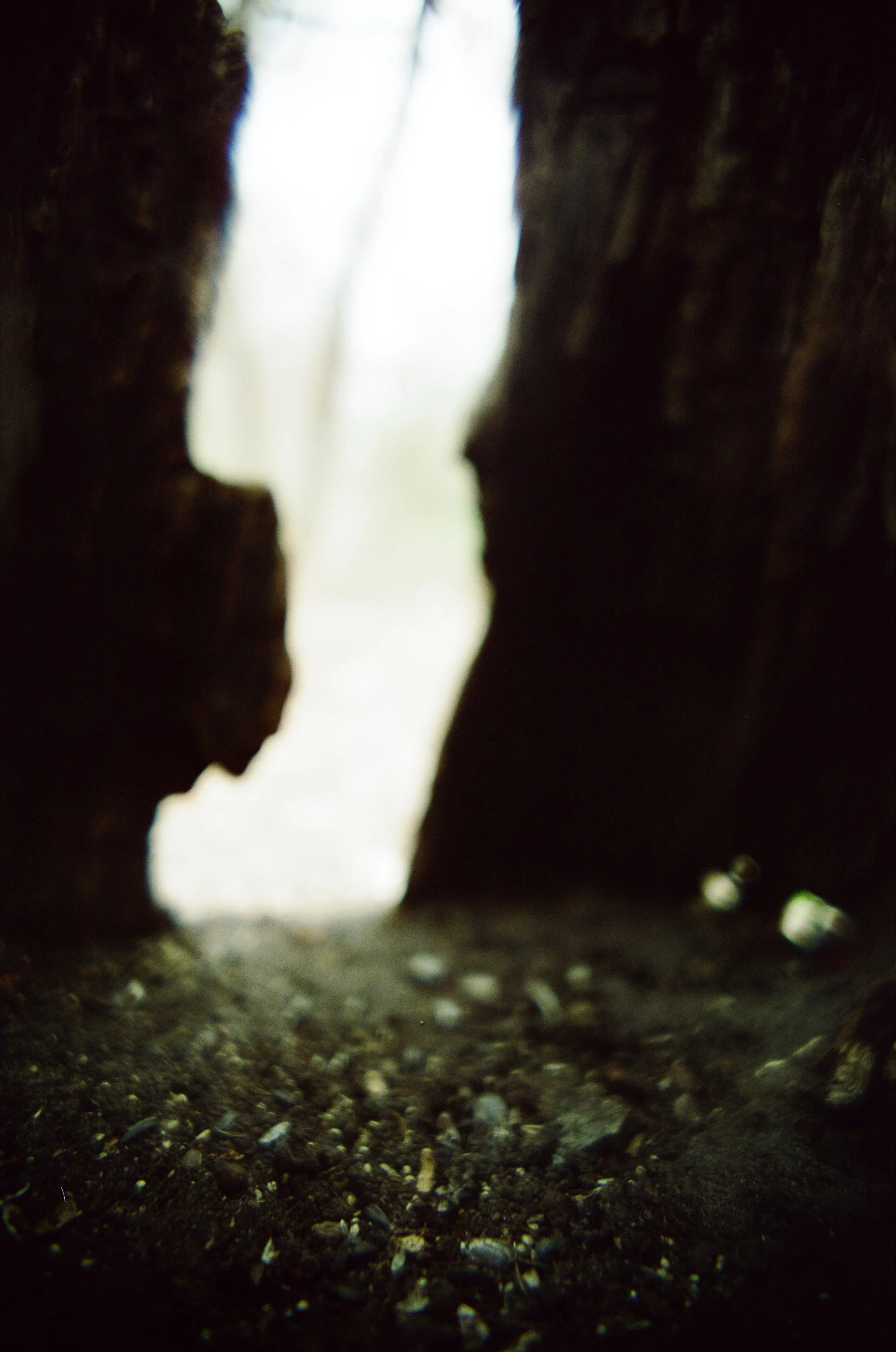260522_WEB-5-2.jpg
