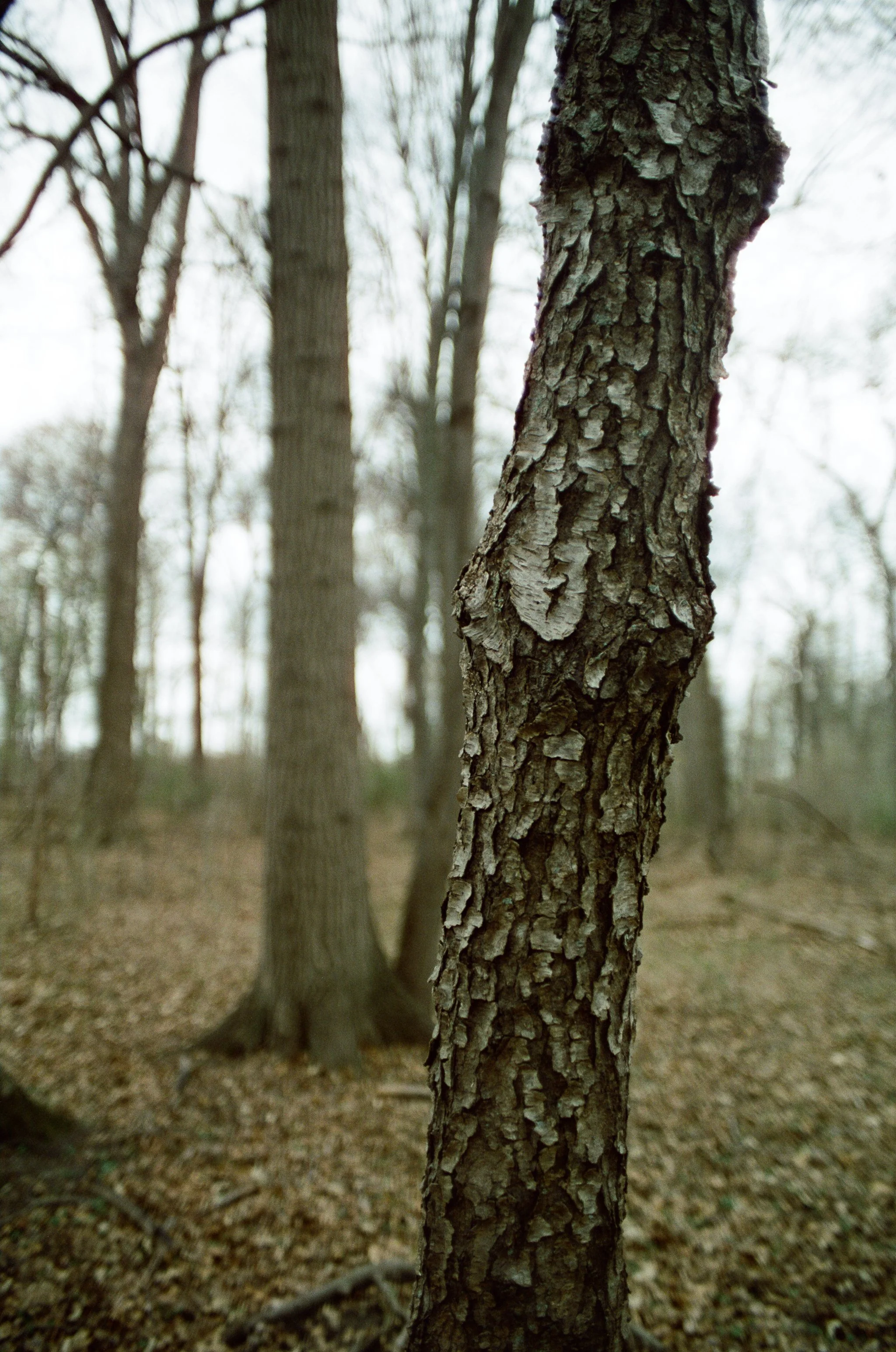 260522_WEB-3-2.jpg