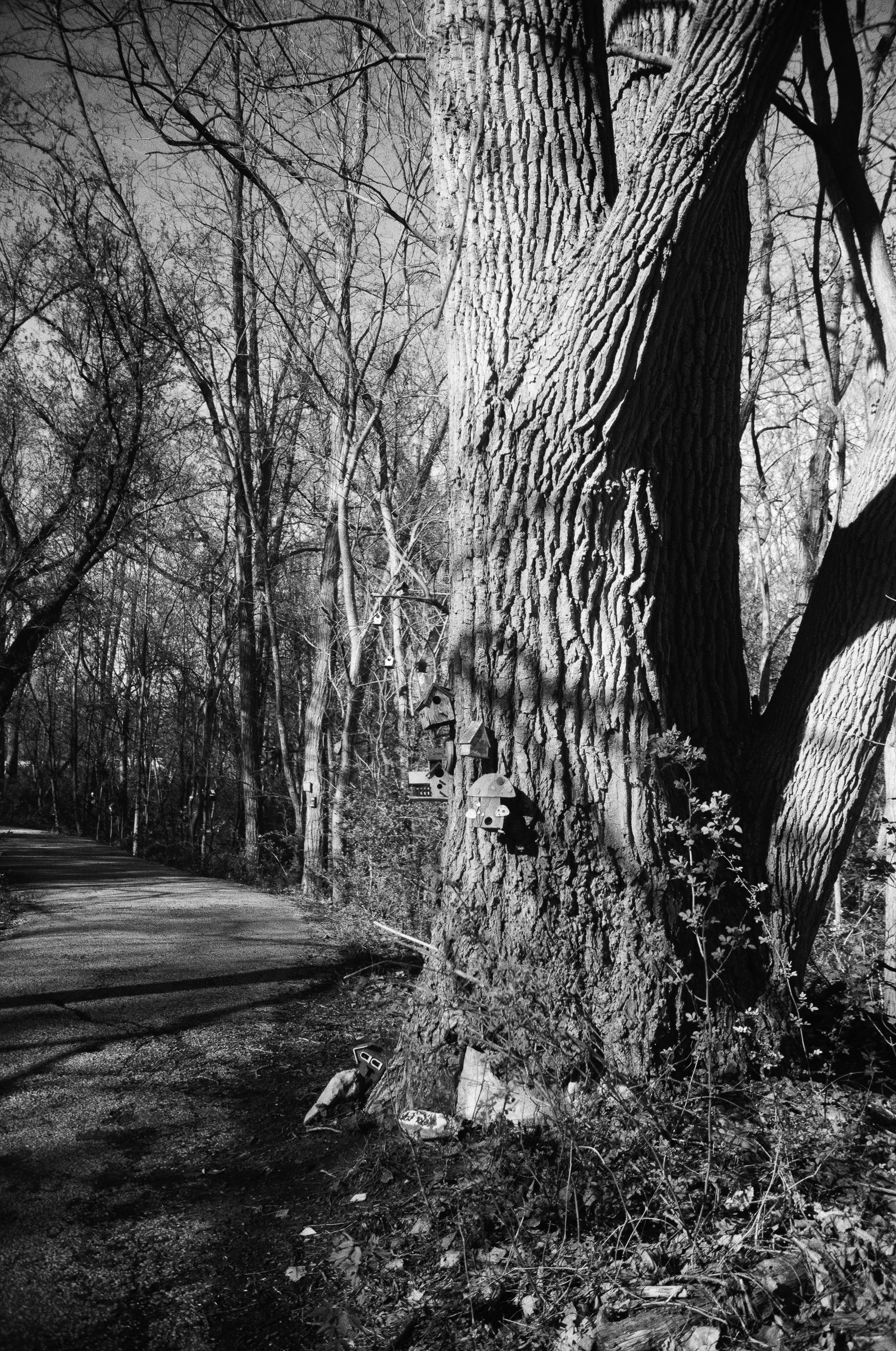 260522_WEB-21.jpg