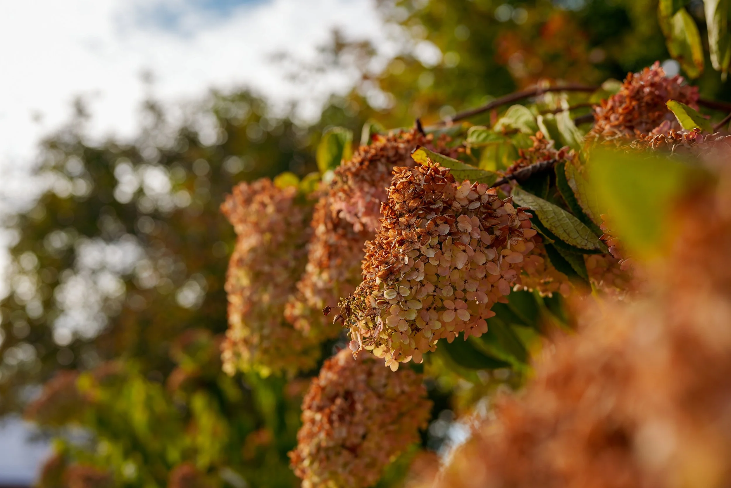 260614_COMMERCIAL-1-21.jpg