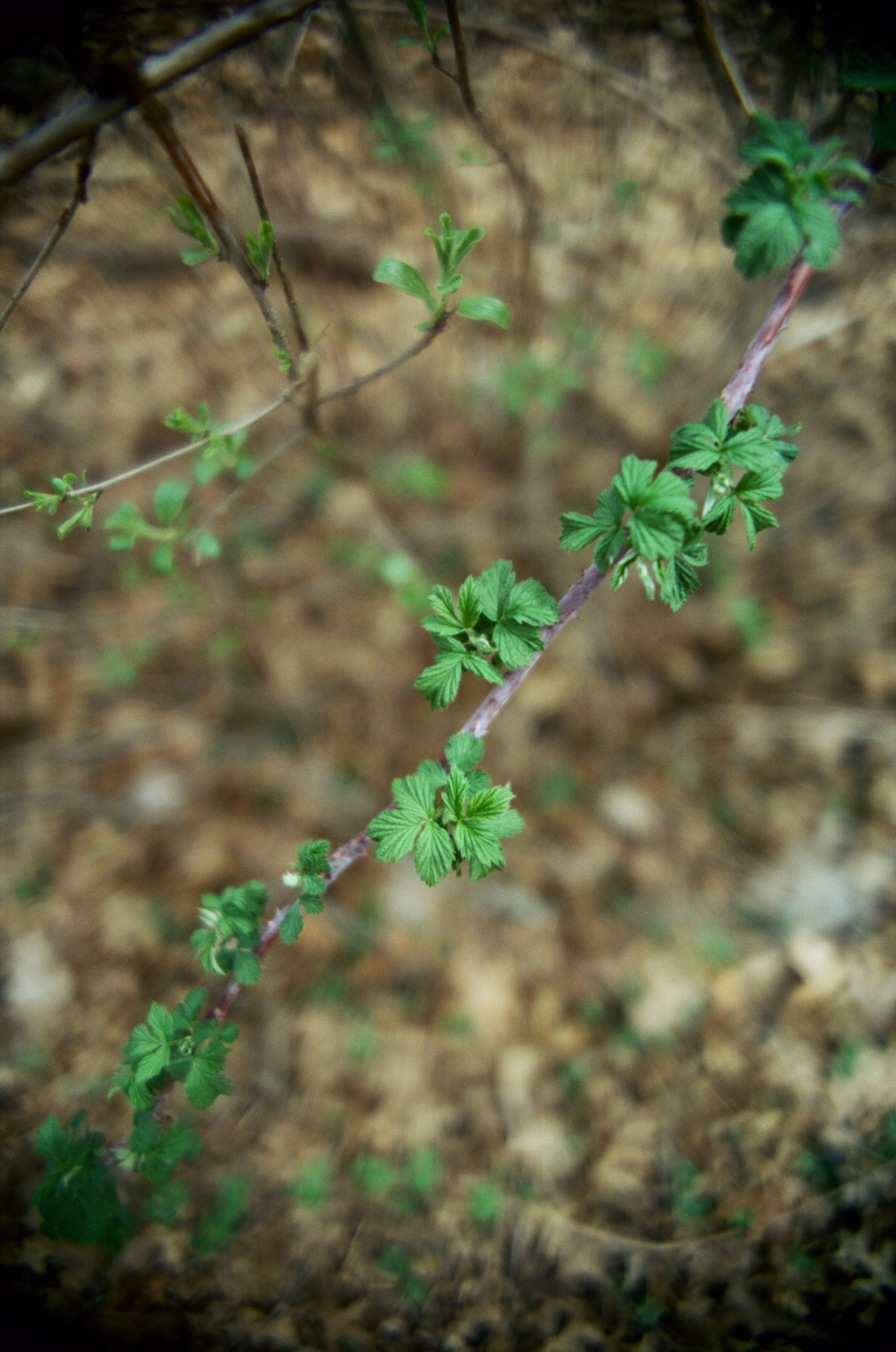 260522_WEB-6-2.jpg