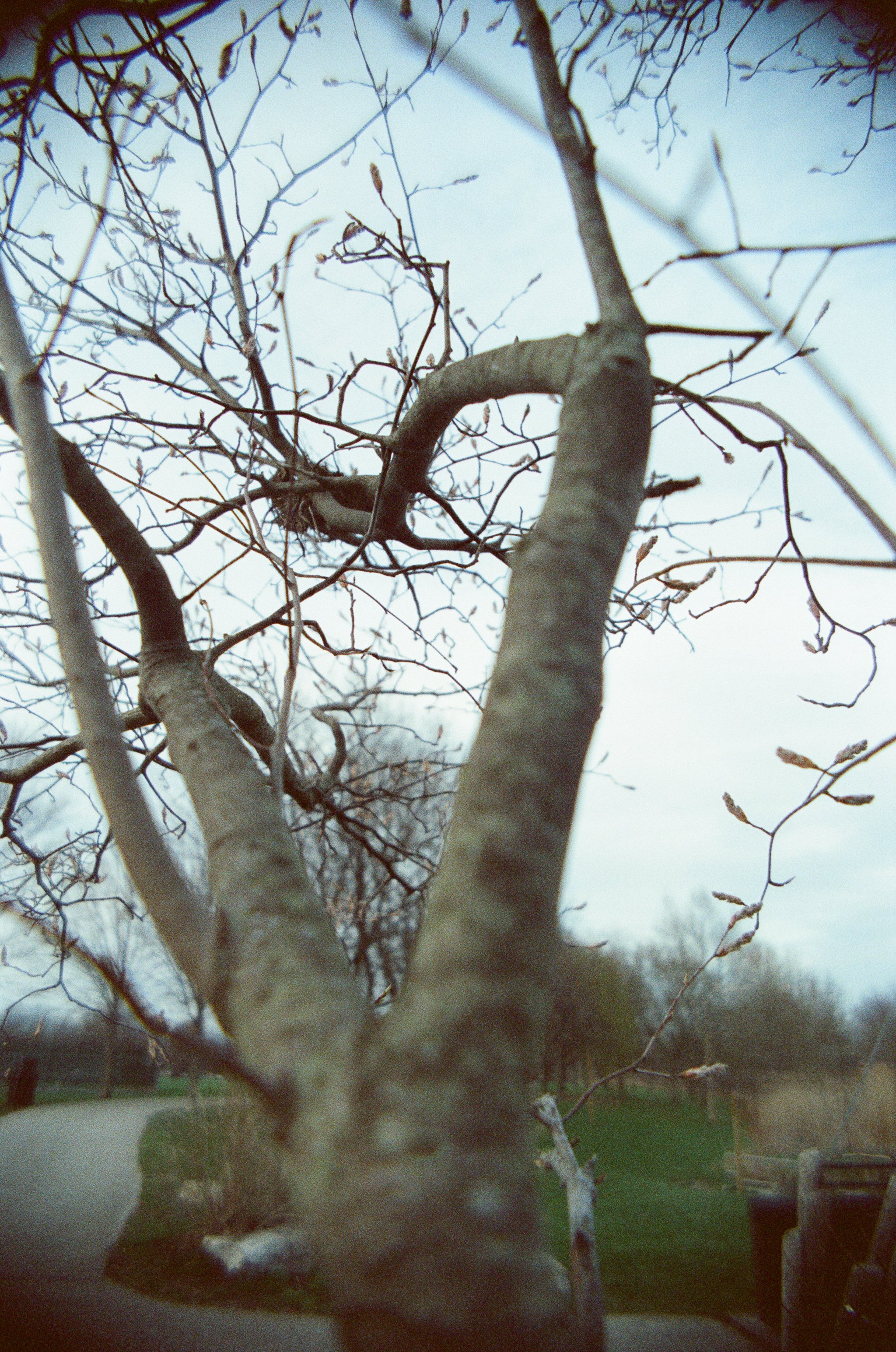 260522_WEB-4.jpg