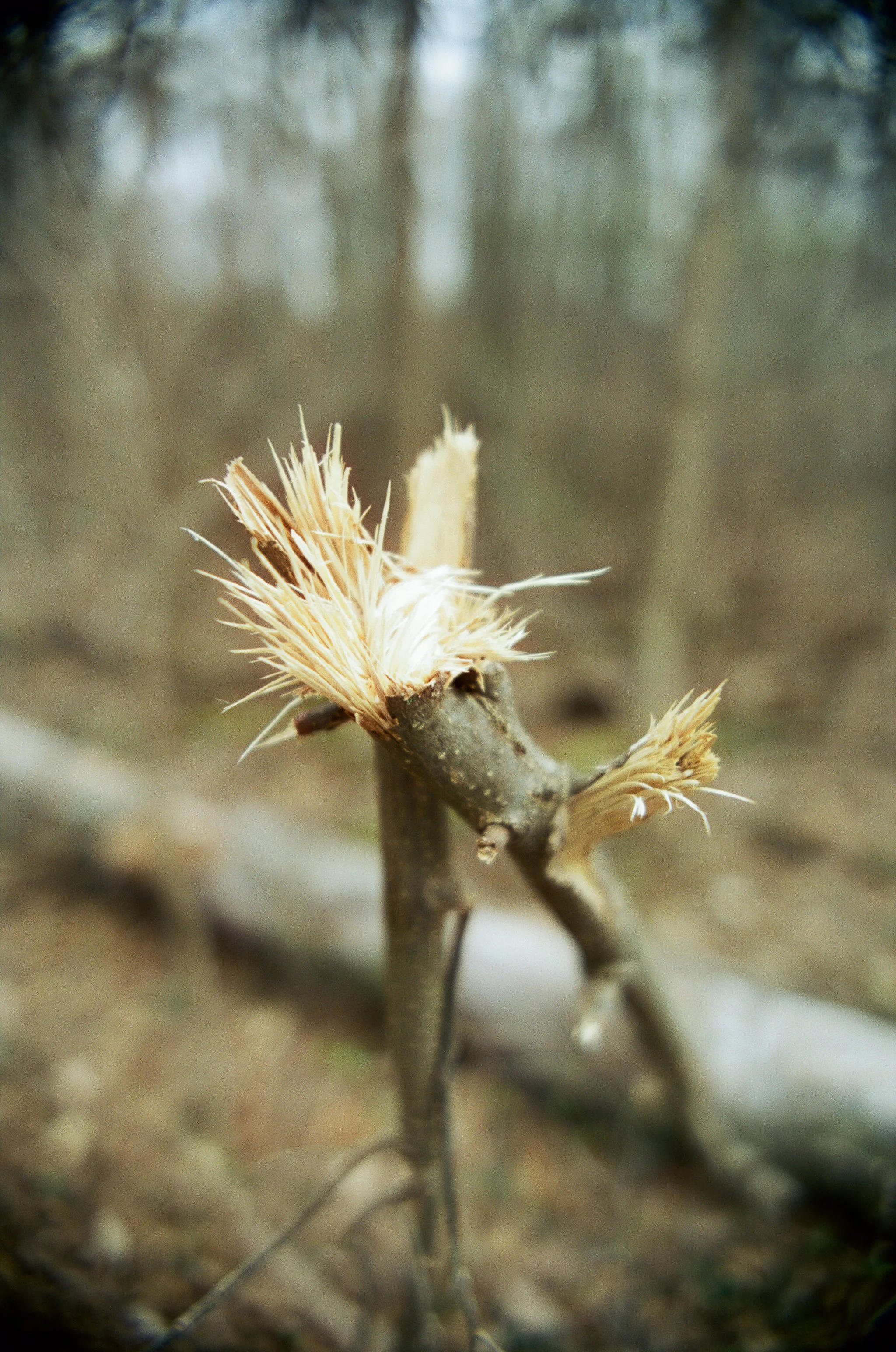 260522_WEB-1-7.jpg