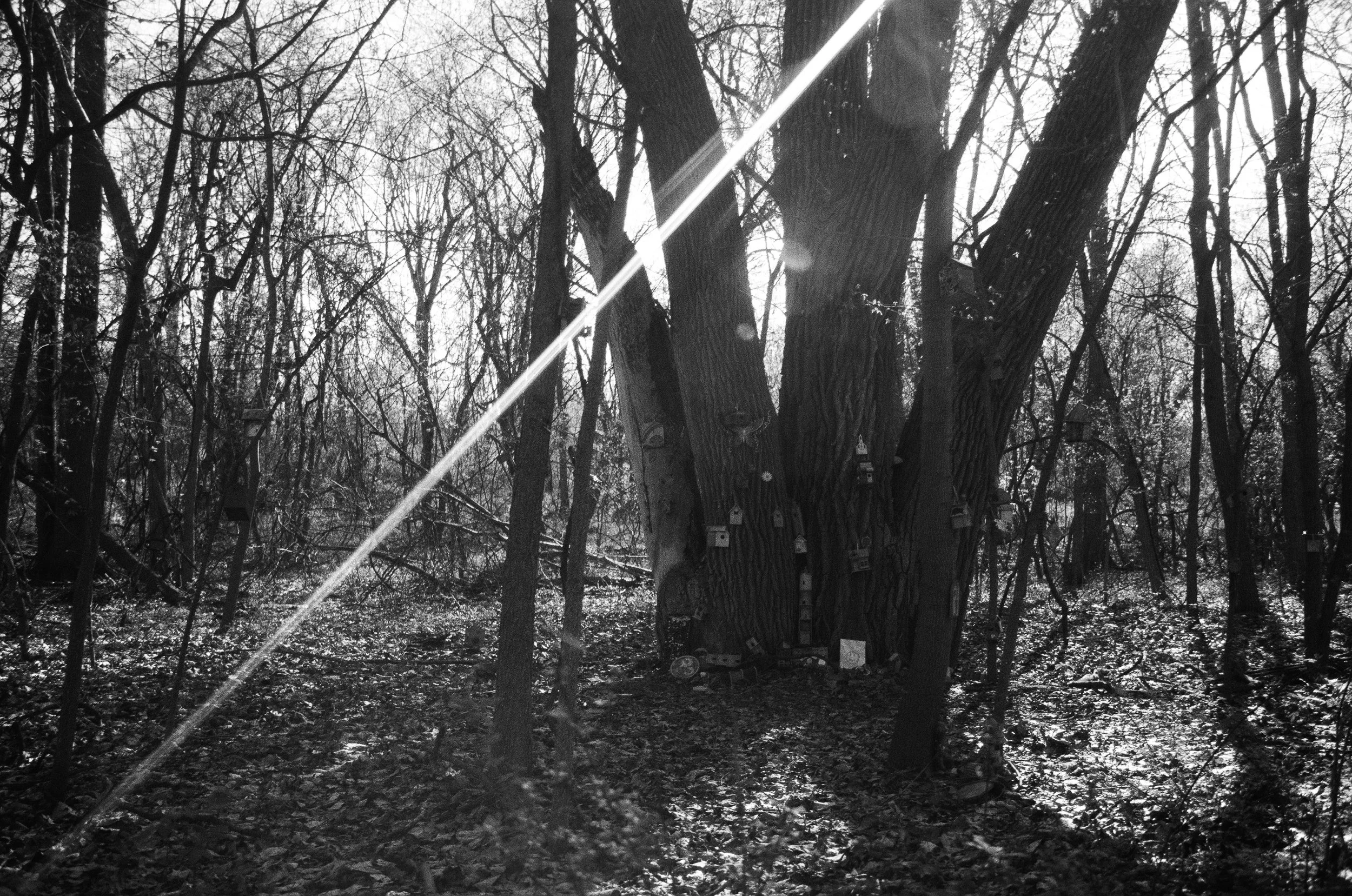 260522_WEB-20.jpg