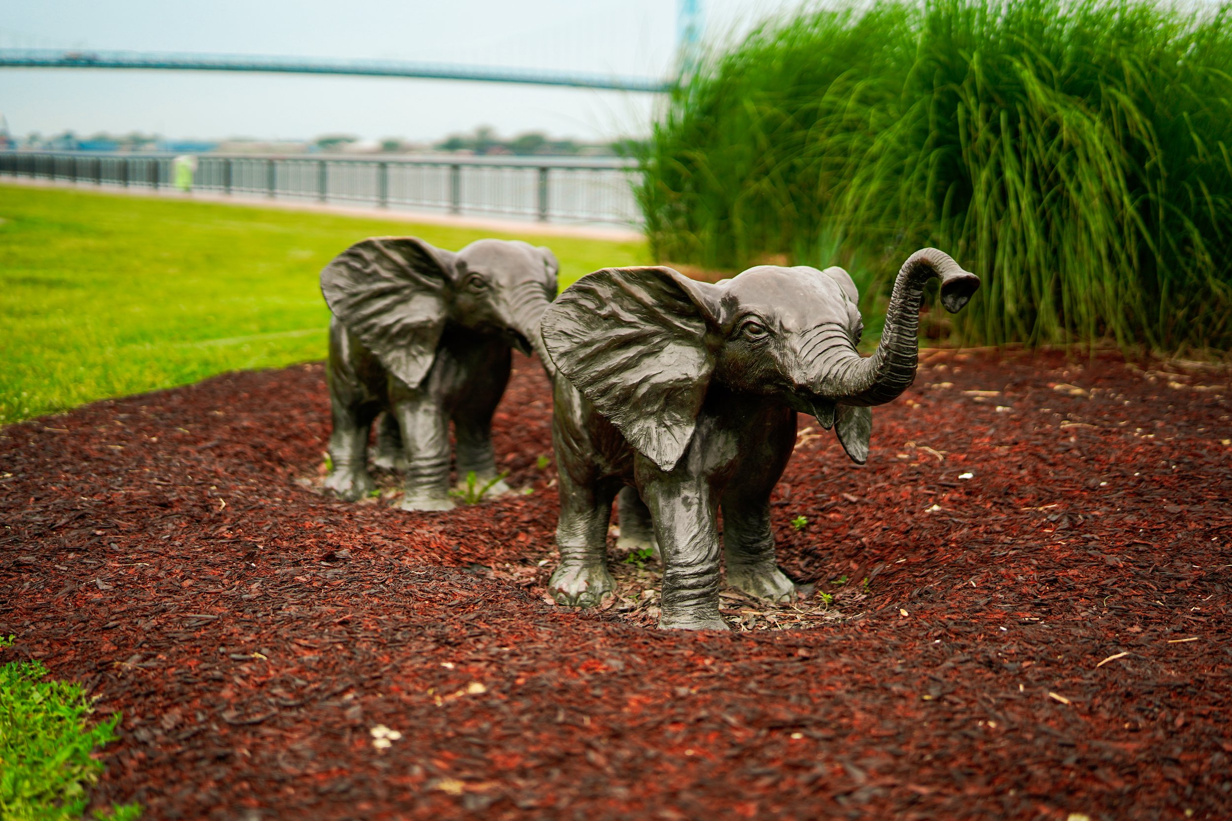 ART_20240619-19.jpg