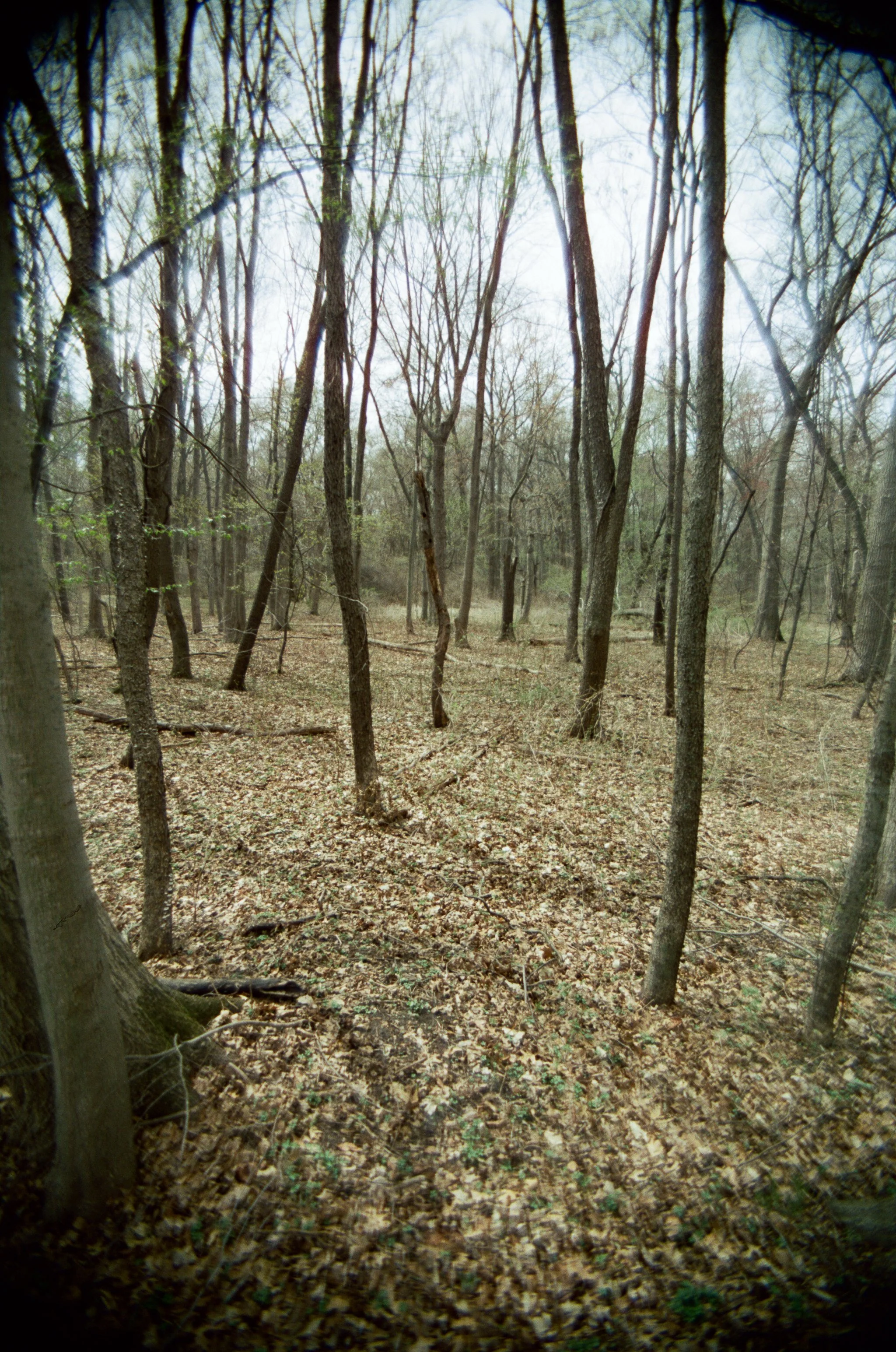 260522_WEB-4-2.jpg