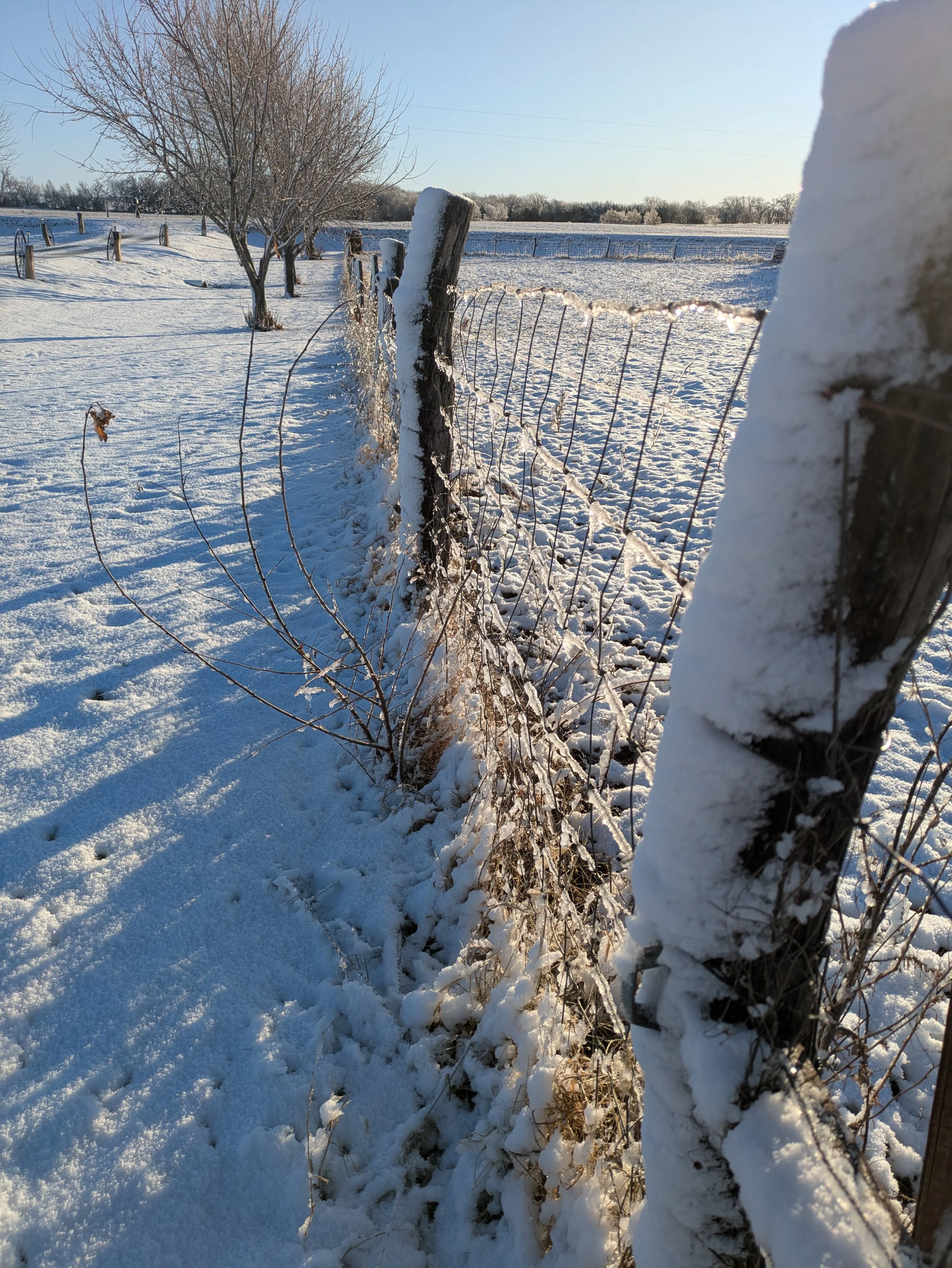 Snow on fence.jpg