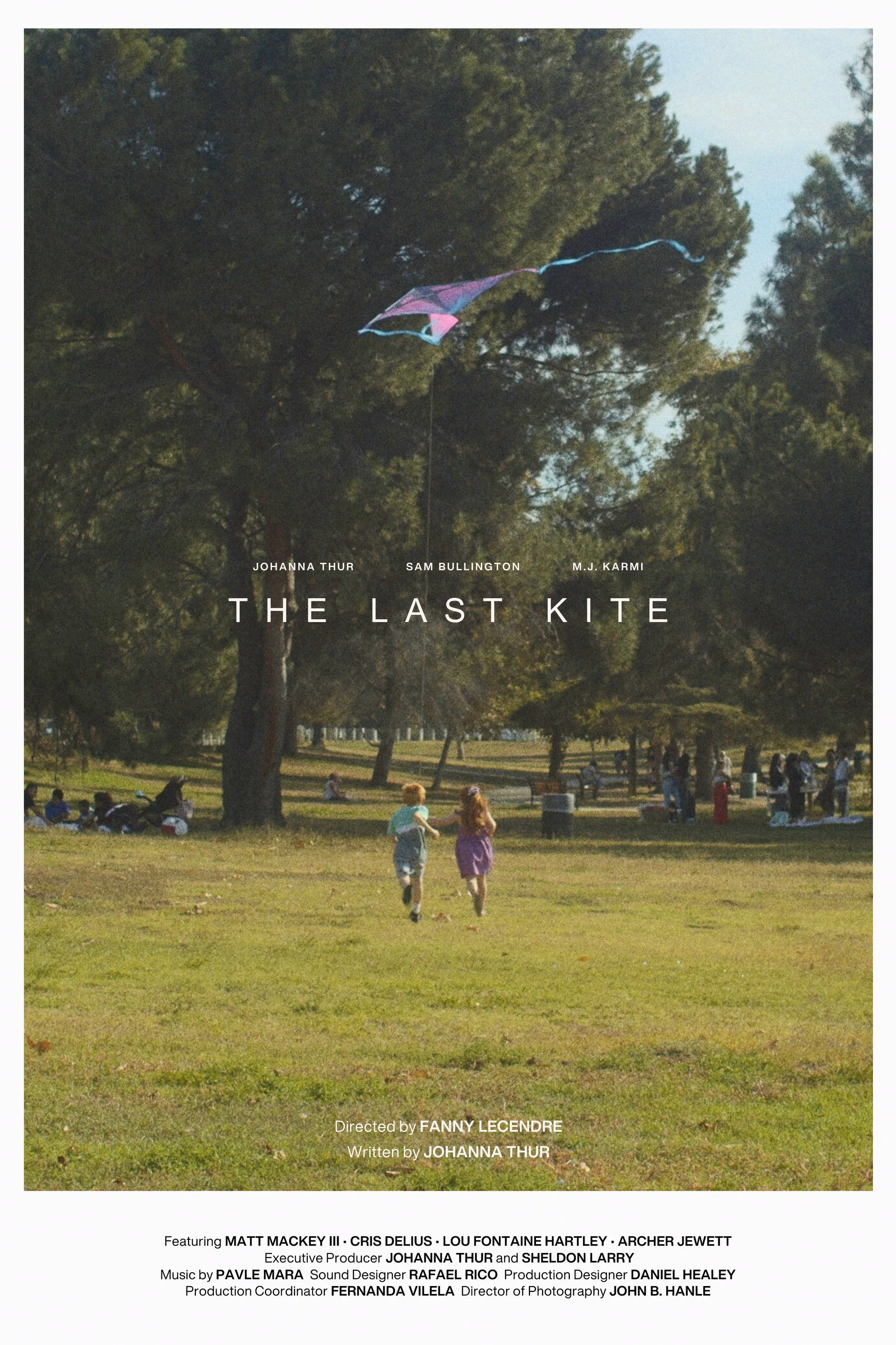 THE LAST KITE - POSTER.jpeg