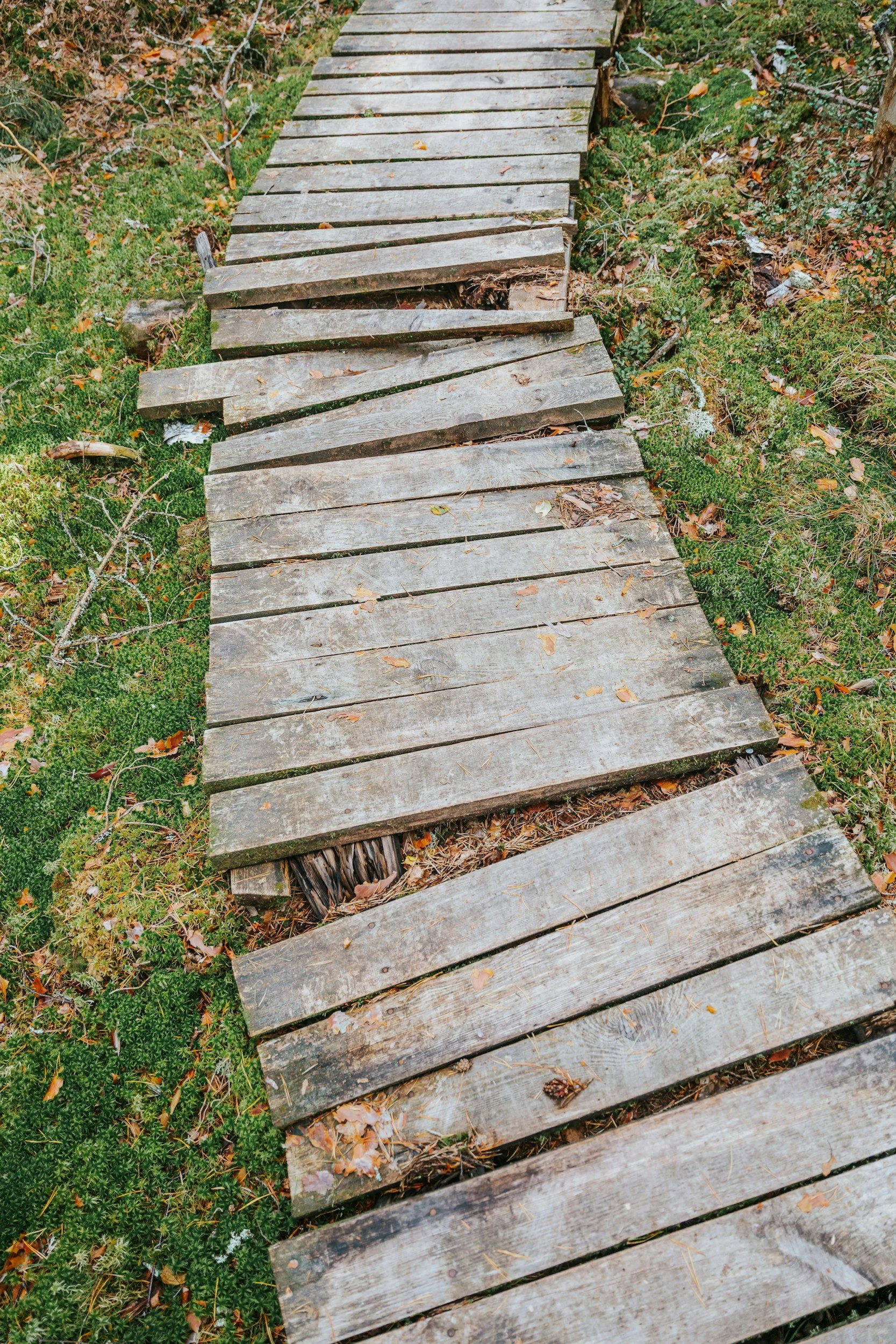 No One Teaches You How to Build a Bridge