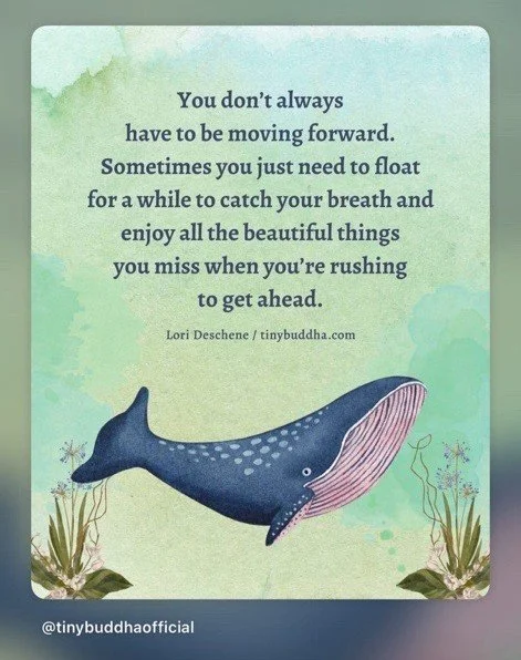 Picture of a while on a green background with plants. The image is from @tinybuddahoffical and says, "You don't always have to be moving forward. Sometimes you just need to float for a while to catch your breath and enjoy all the beautiful things...