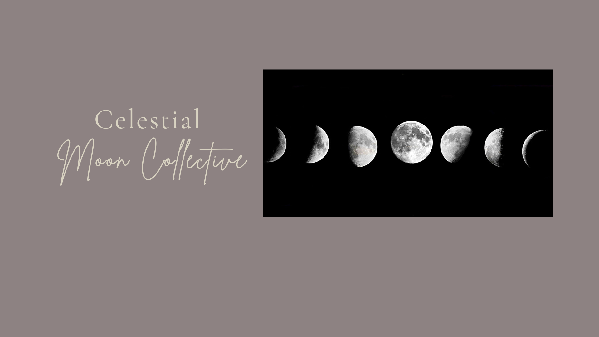 A graphic featuring the phases of the moon from new moon to full moon to last quarter on a black background, with text "Celestial Moon Collective" on a gray background.