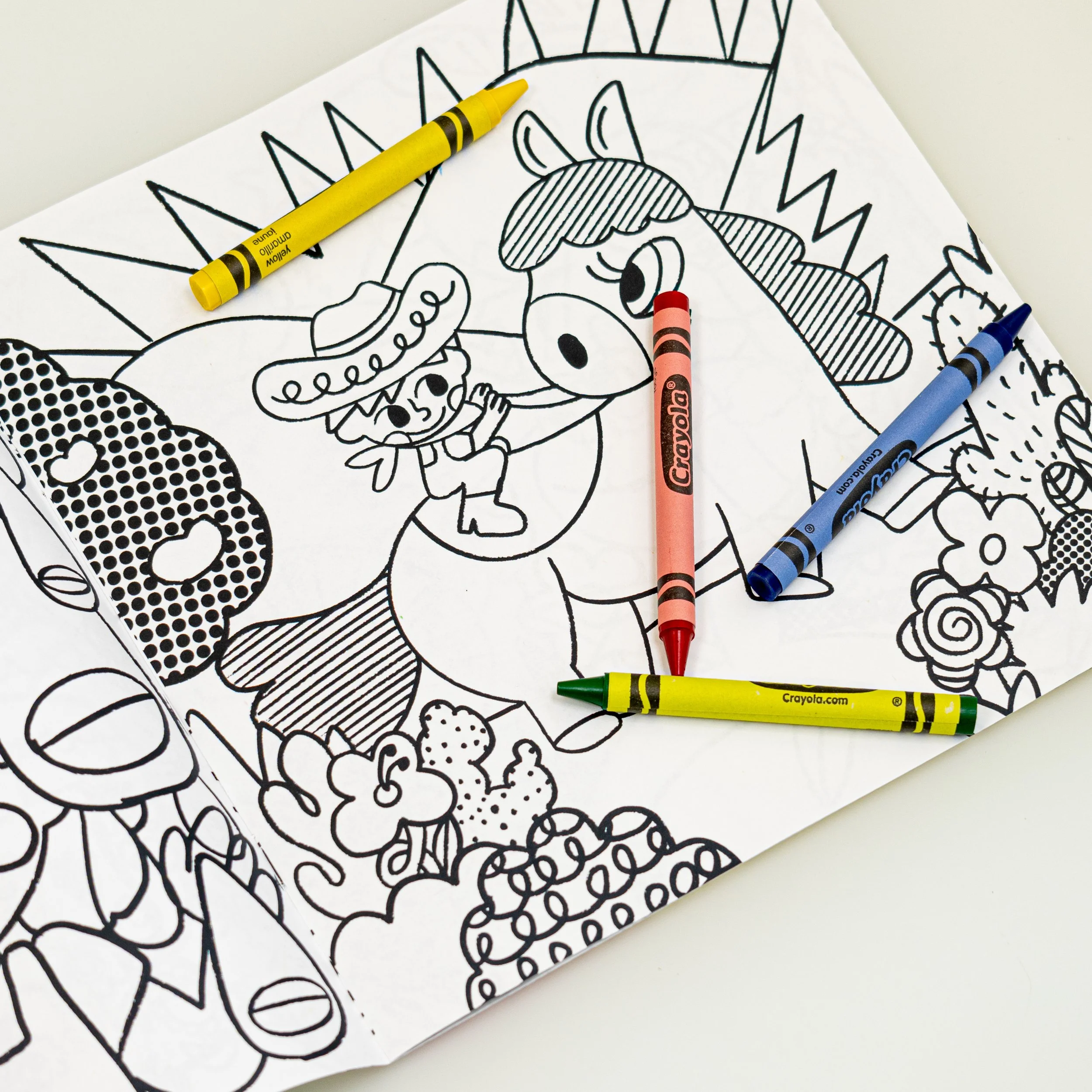 chikittoonz flatlay  (14 of 42).jpg