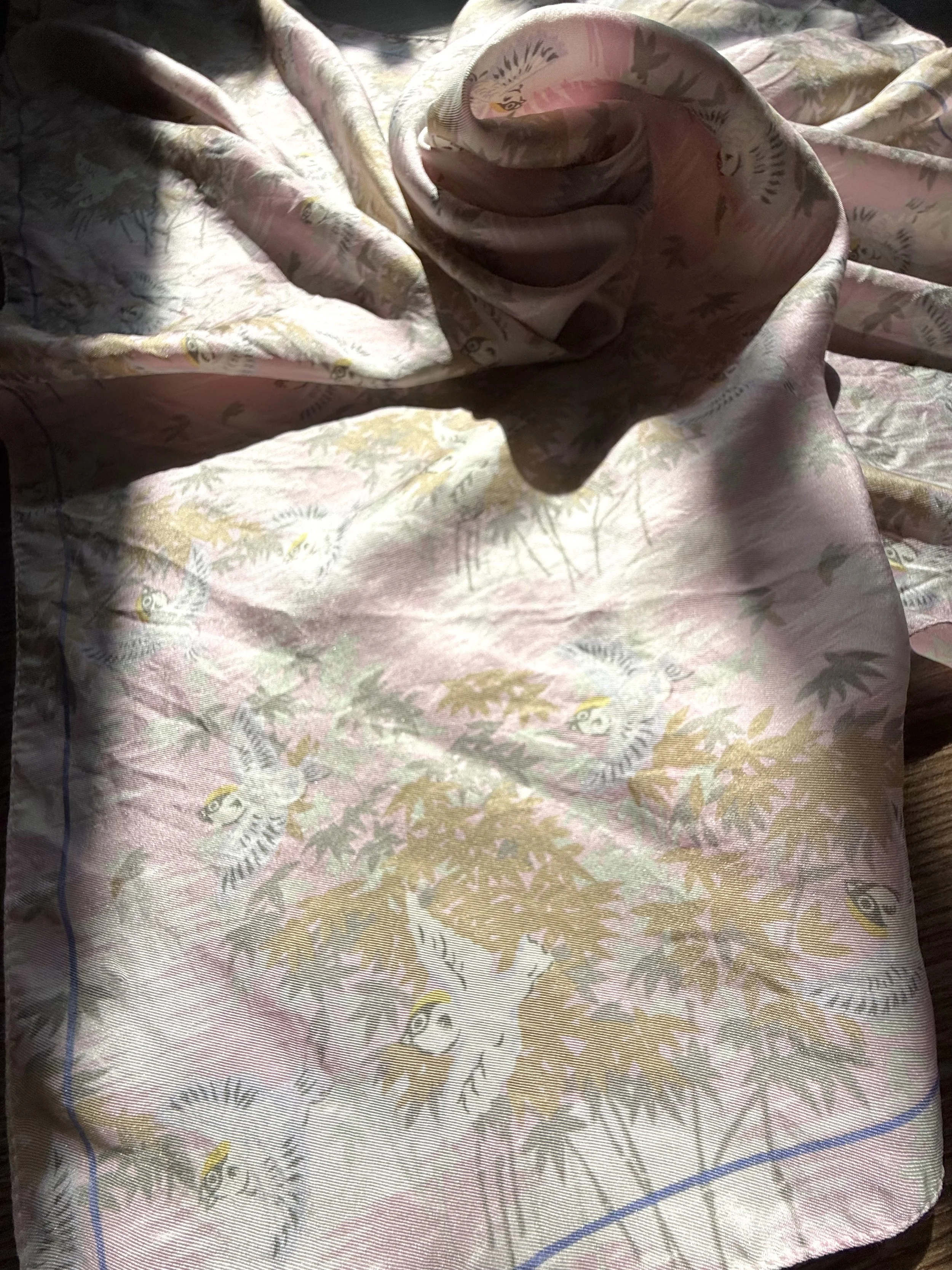 IMG_2018.jpeg