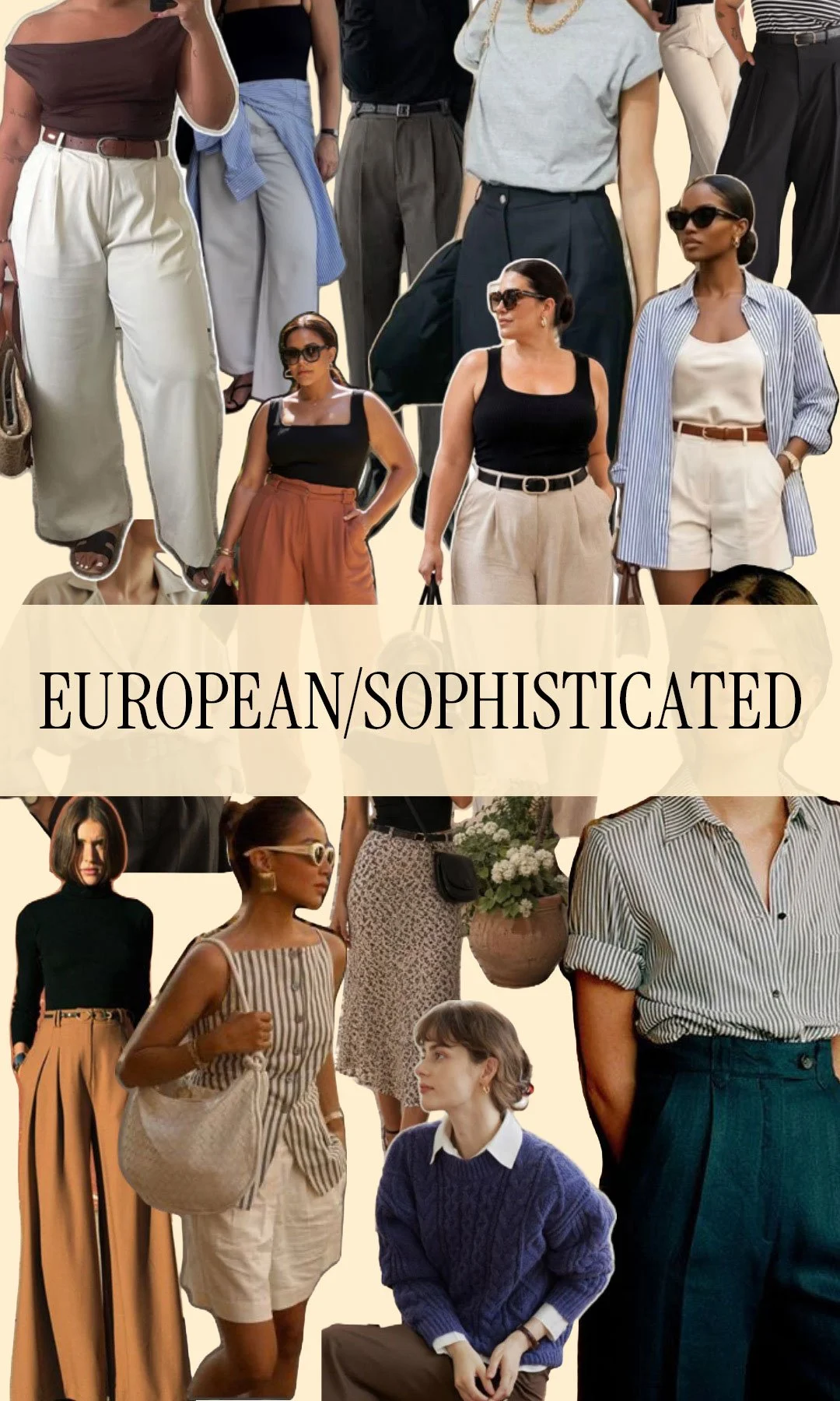 European_Sophisticated.JPG