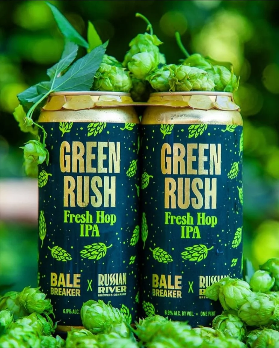 GREEN RUSH 🌱 @balebreaker X @russianriverbrewingofficial  struck gold with this Fresh Hop IPA 🍺 

A West Coast IPA that is loaded with freshly picked, homegrown Simcoe hops for a vibrant burst of aromatics. If you&rsquo;re a hop head, this one is a