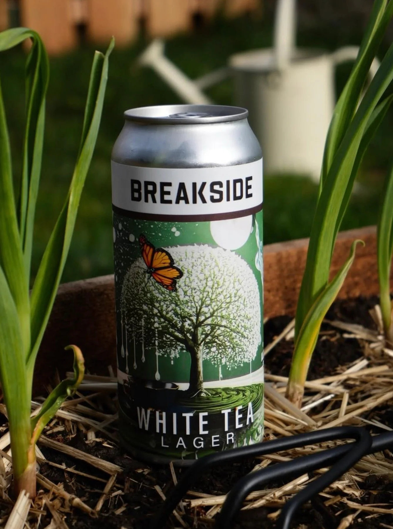 White Tea Lager 🦋 @breakside 
The perfect beer for spring is here and won 🥉 Bronze at the recent @worldbeercup 

🌱 White Tea Lager combines the herbaceous and tea-like hop flavor with delightful fruitiness from the white tea flowers. Rice &amp; Pi