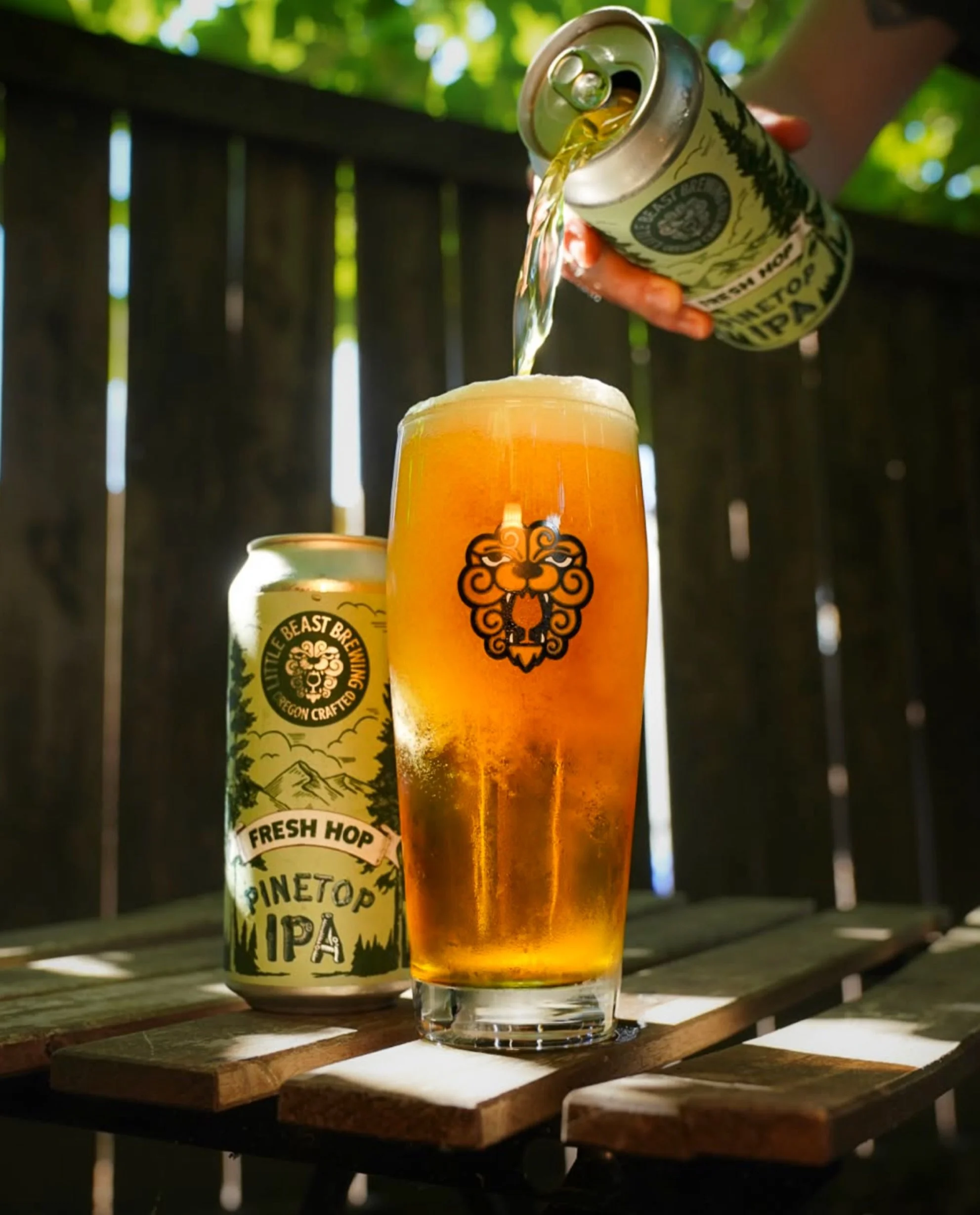 Fresh Hop Pinetop IPA @littlebeastbrewing 

The most popular West Coast IPA from our friends at Little Beast just got hit with some Oregon fresh hops! They have embellished this IPA with fresh Centennial, Mosaic, and Chinook hops to amplify the lush 