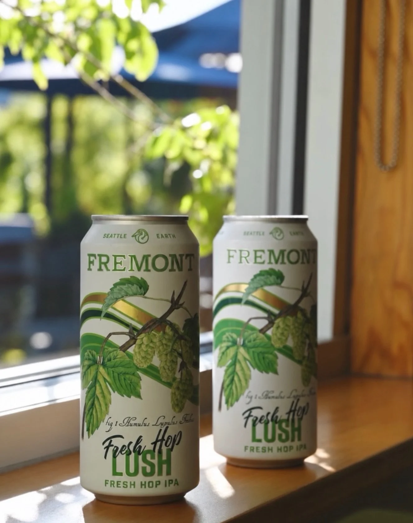 Fresh Hop Lish from @fremontbrewing 😋 have you ever seen something so beautiful? 

This Lush is FRESH in the best way - hopped up with fresh Citra from Perrault Farms ✨ one of the best seasons for beer is still in full swing! 

ABV: 7.0% 
📸: @fremo