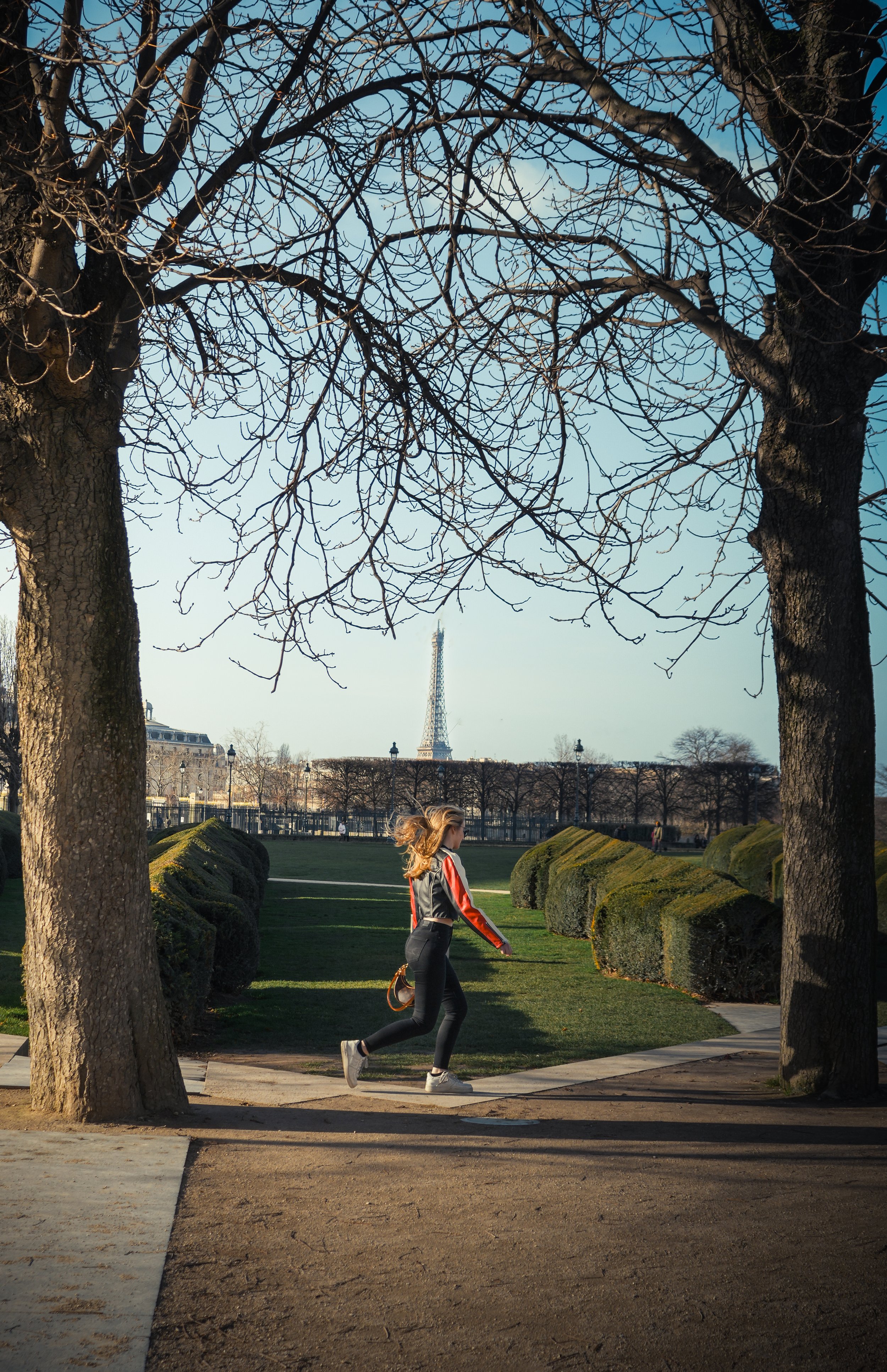 The Eifel Tower Shot-2.jpg