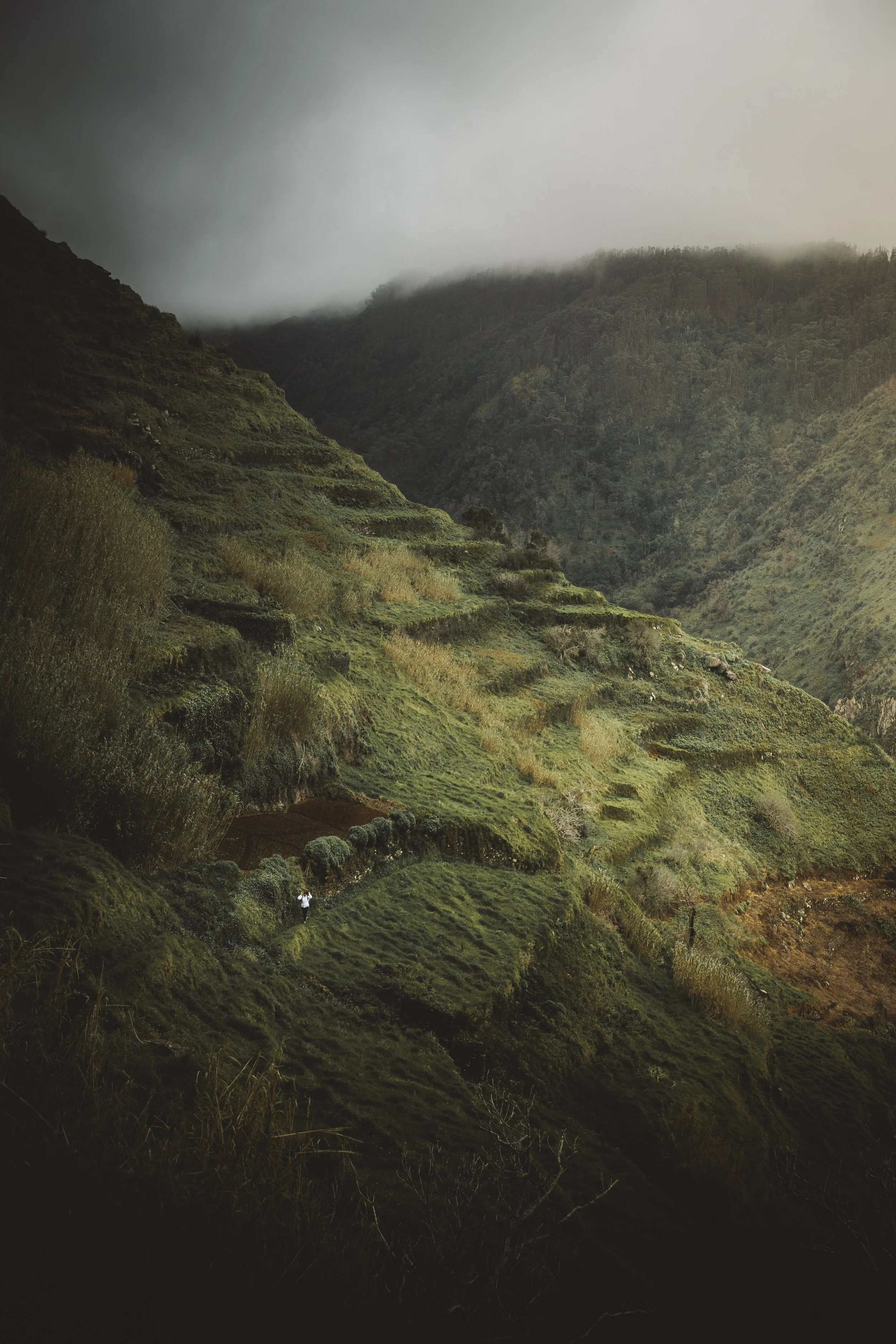 Little Hiker Greener.jpg