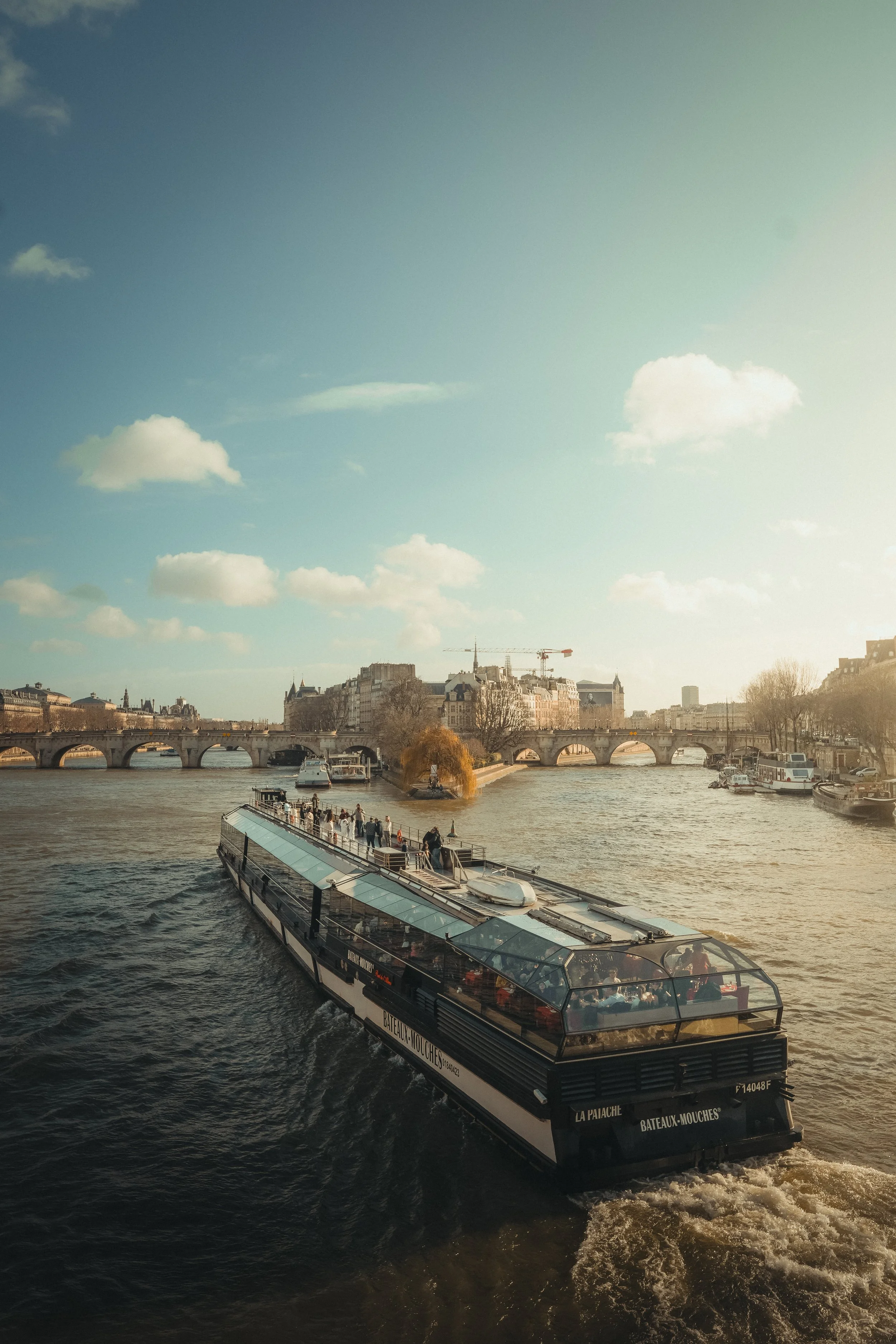 Pont Neuf.jpg
