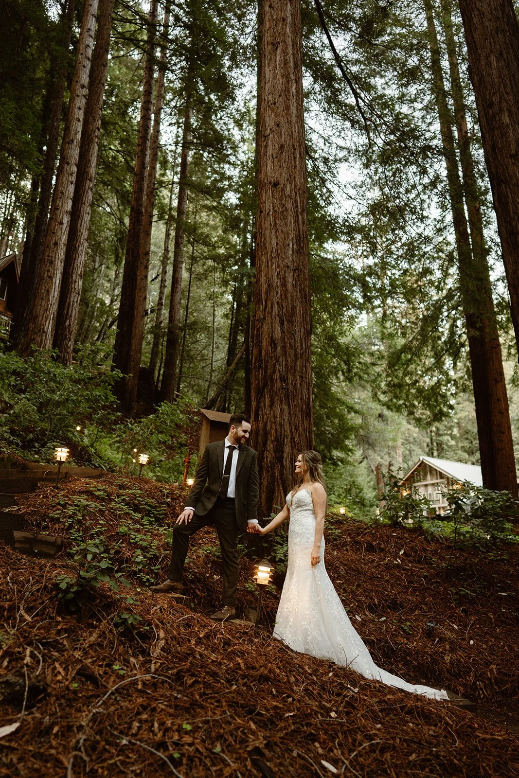 redwoods-california-wedding-480.jpg
