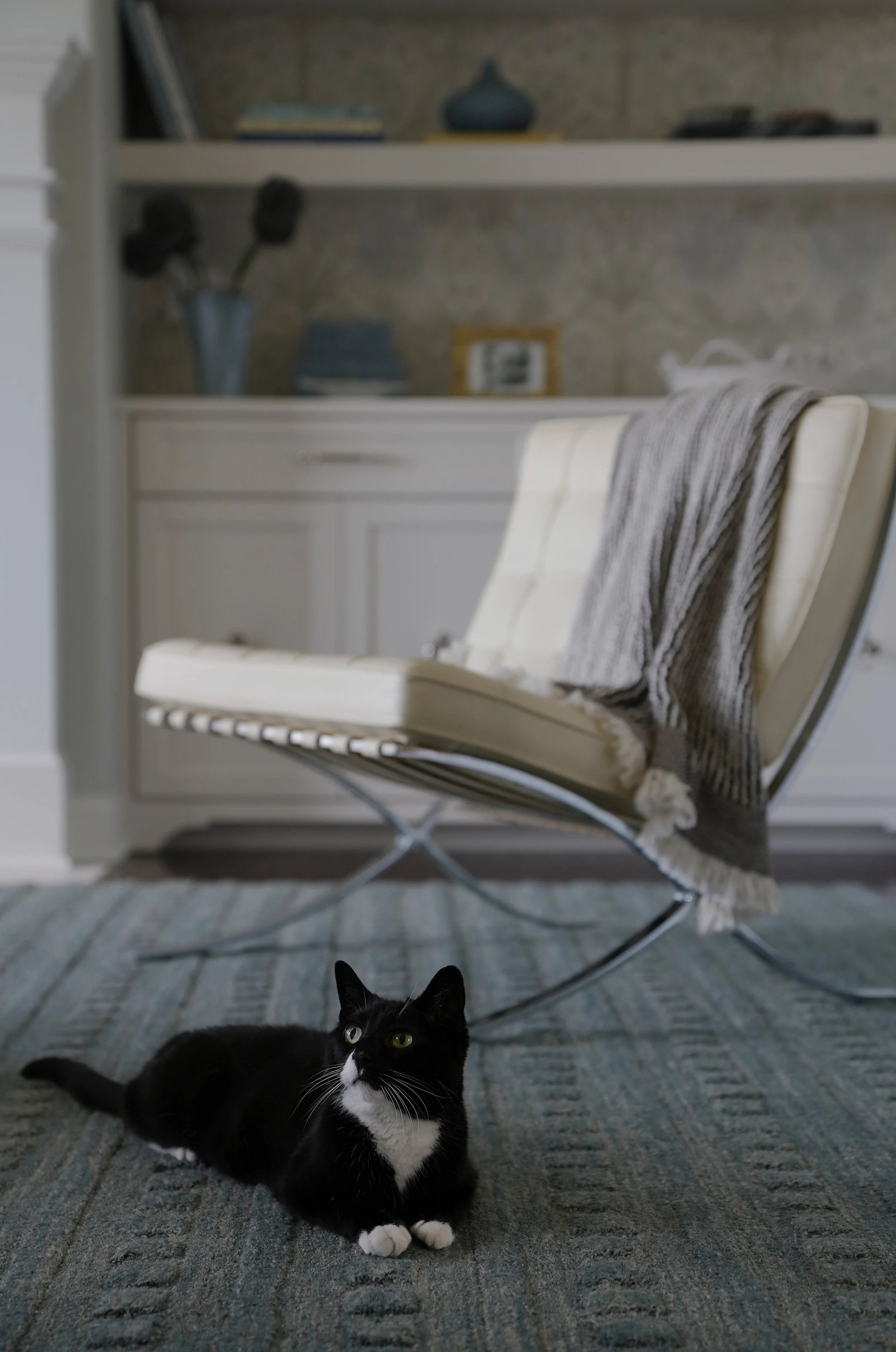 Living room renovation Pittsburgh Pennsylvania Morris & Co. Wallpaper interior designer Molly Lucas Maison de Molly 