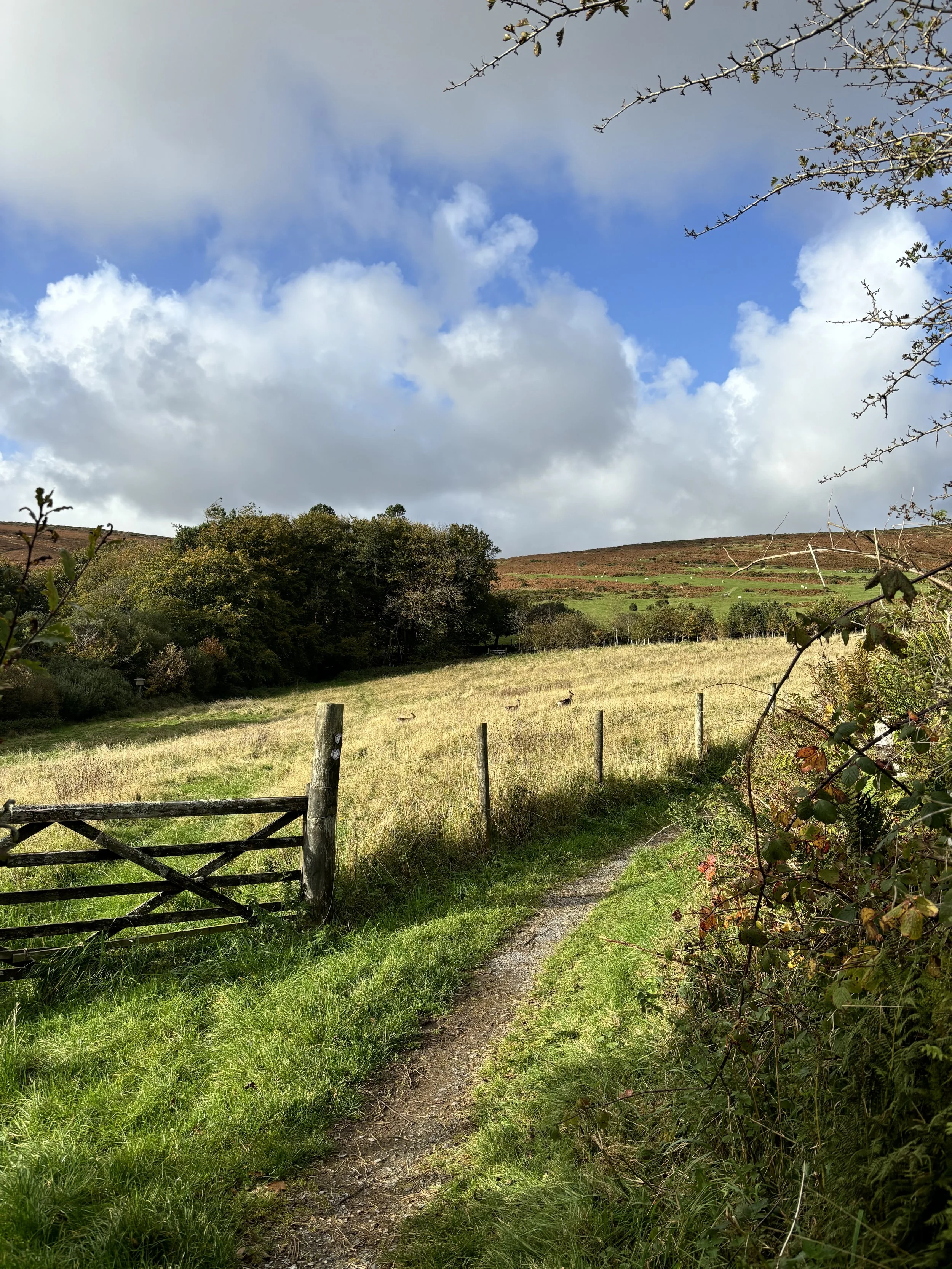 Conversations this week