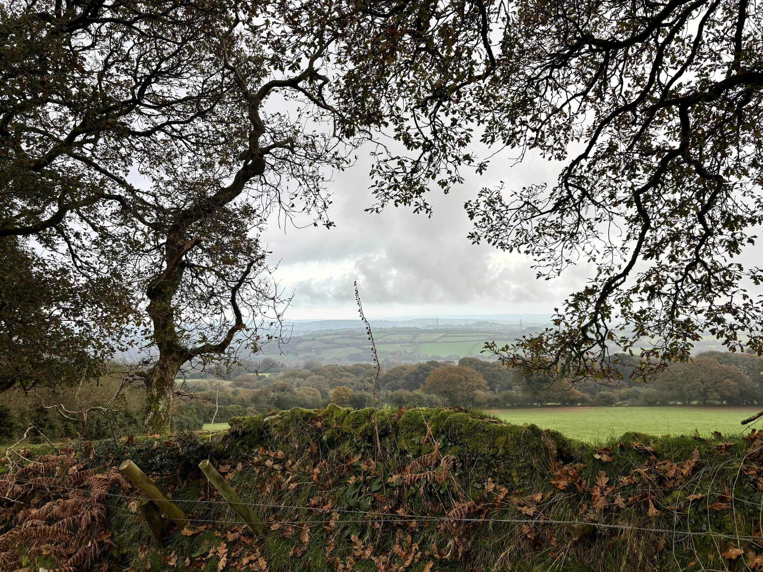 DARTMOOR - SO MANY THINGS TO ME