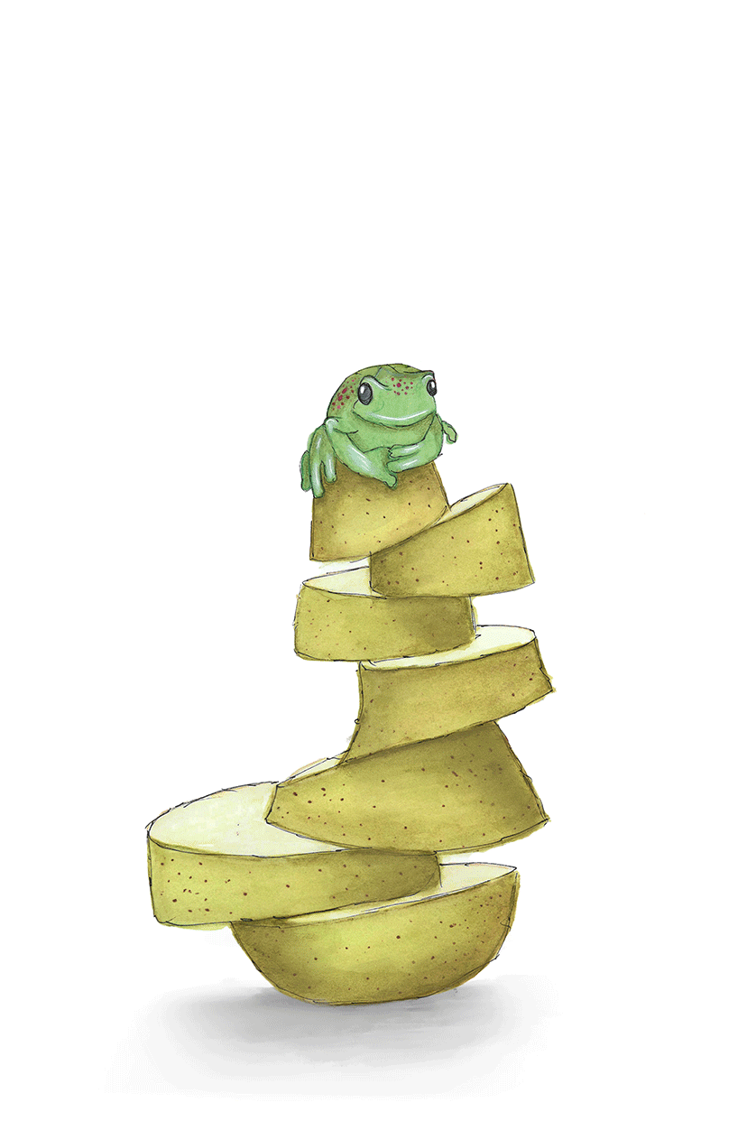 Grid Image 4.gif