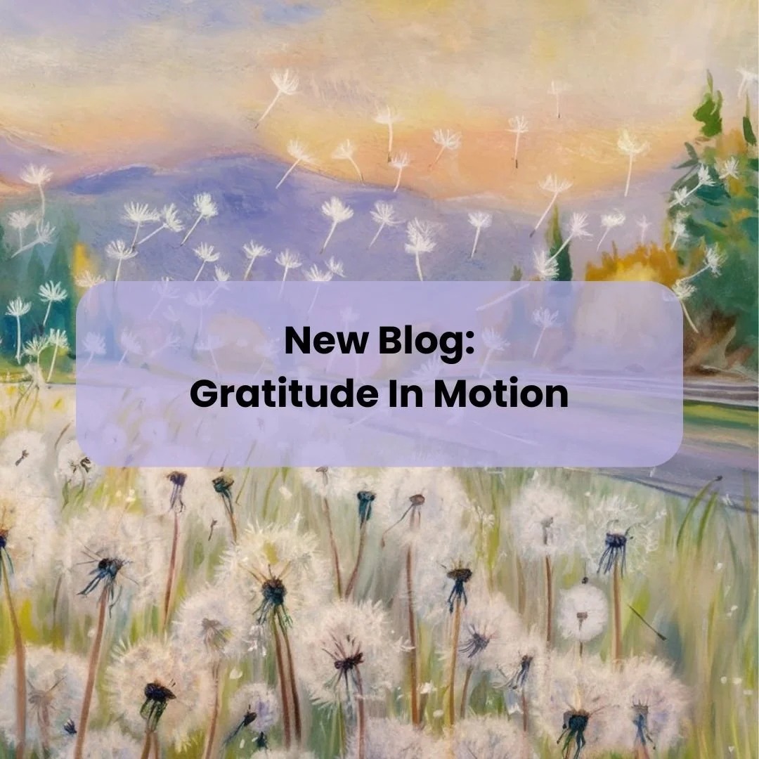 New Blog Post! 
(Link in bio)