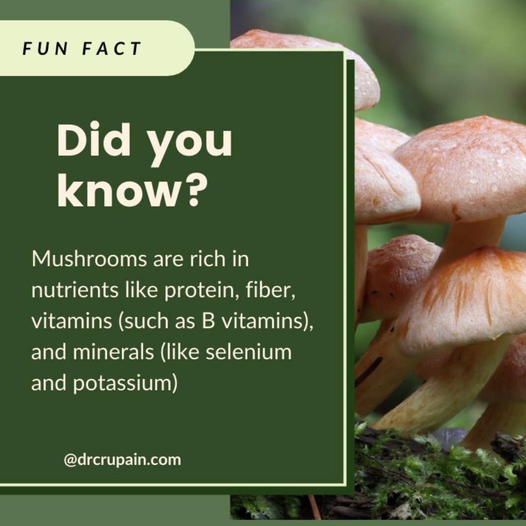 🍄📚 Uncover the Power of Mushrooms! 📚🍄

Did you know mushrooms are a powerhouse of nutrients? From protein to fiber, B vitamins to selenium, and beyond, these little wonders pack a punch in the nutrition department! 🌟

Looking for delectable mush