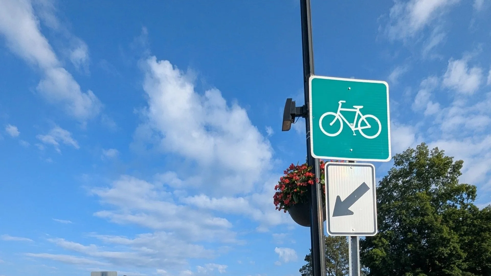 Q: Is a Bike a Vehicle? 🚲 🚗