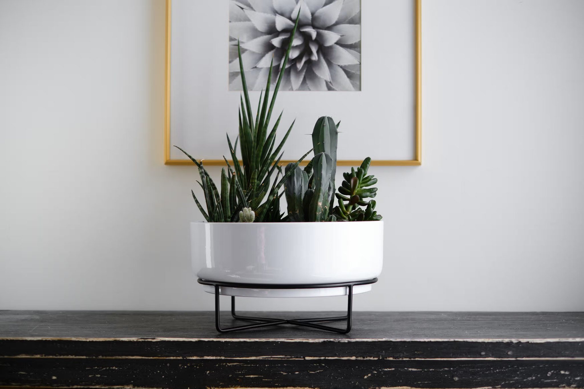 New item alert!!!

These planter containers are super clean and modern, perfect for entry way, dinning room table, bathroom, desk and other areas of your home. 

Customize them with our plant selection for the perfect fit for your space. Limited quan