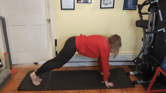 Spider Lunge Twists