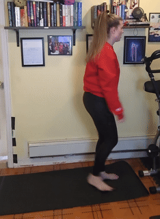 Reverse Lunges