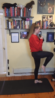 Reverse Lunge Knee Raise