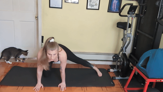 Adductor Rocking