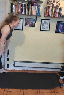 Walkout Scapular Pushup
