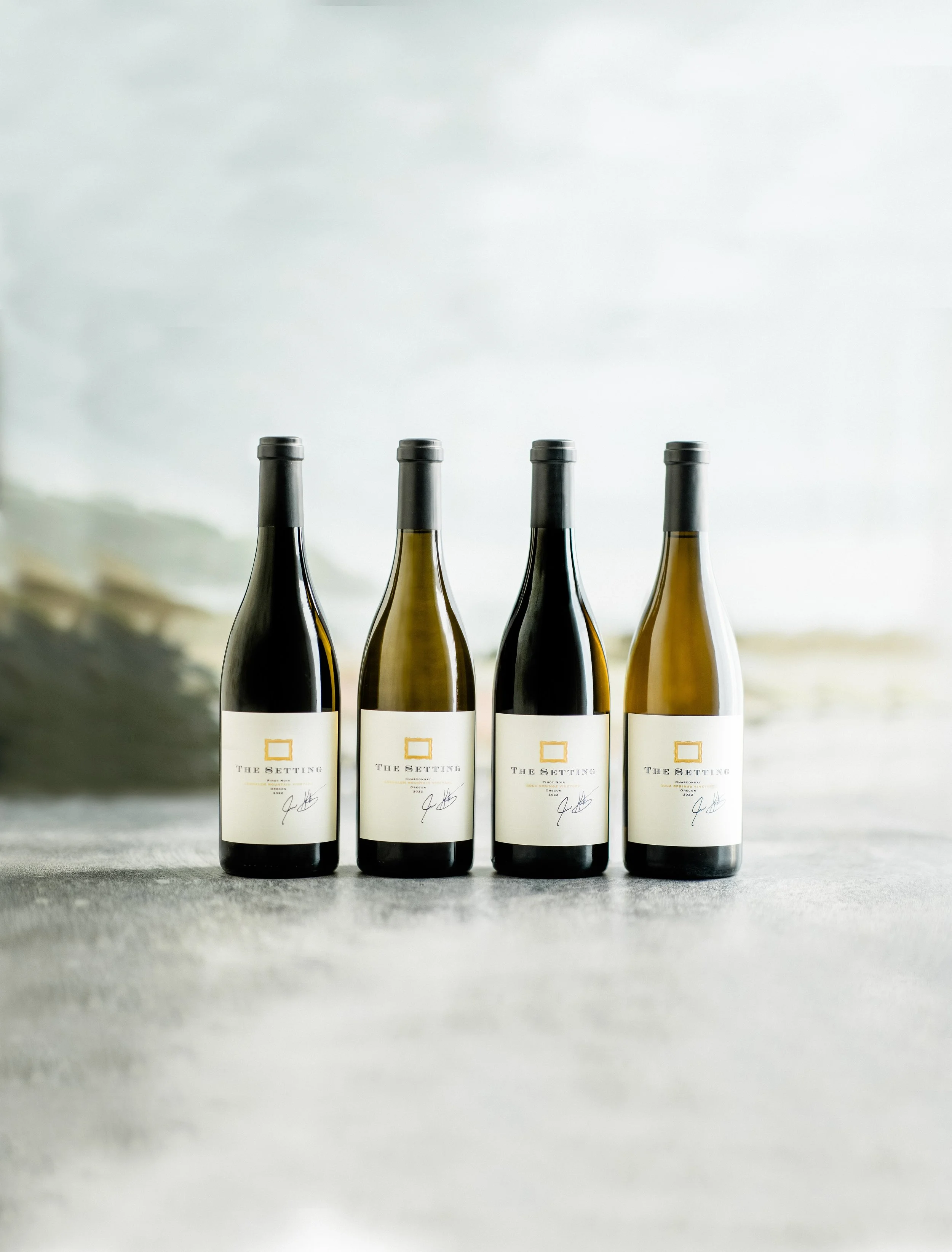 Mike_Larson_0003_2025 MLM_Mike_Larson_0001_TheSettingWinesOregon_A57I4077-Edit-Edit.jpg