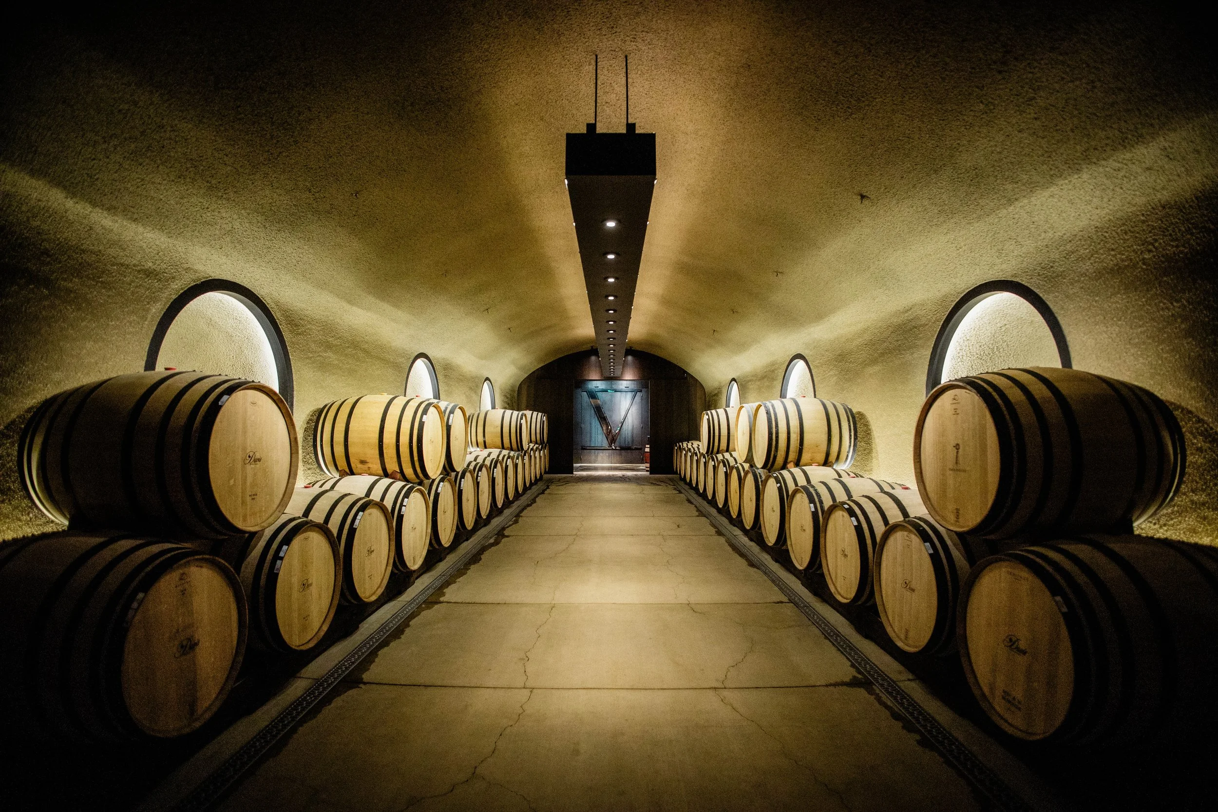 Mike_Larson_0030_2025 MLM_Mike_Larson_0237_DavisEstatesPortraits.jpg