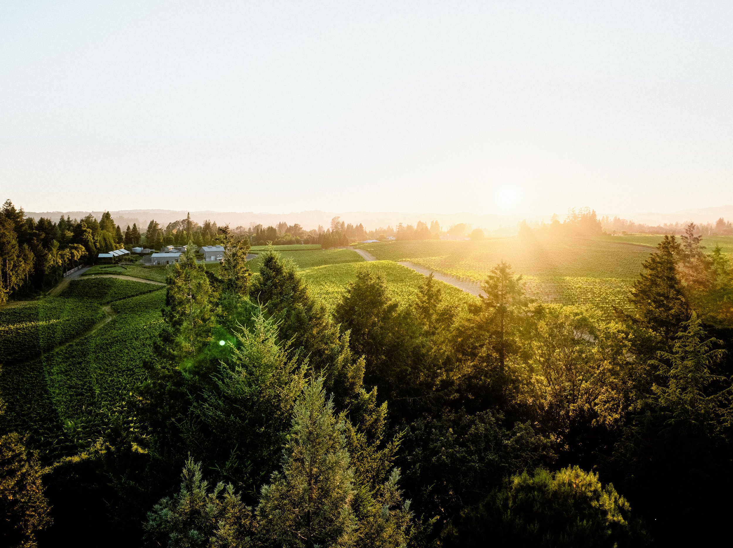 Mike_Larson_0033_2025 MLM_Mike_Larson_0377_PaulHobbs.jpg