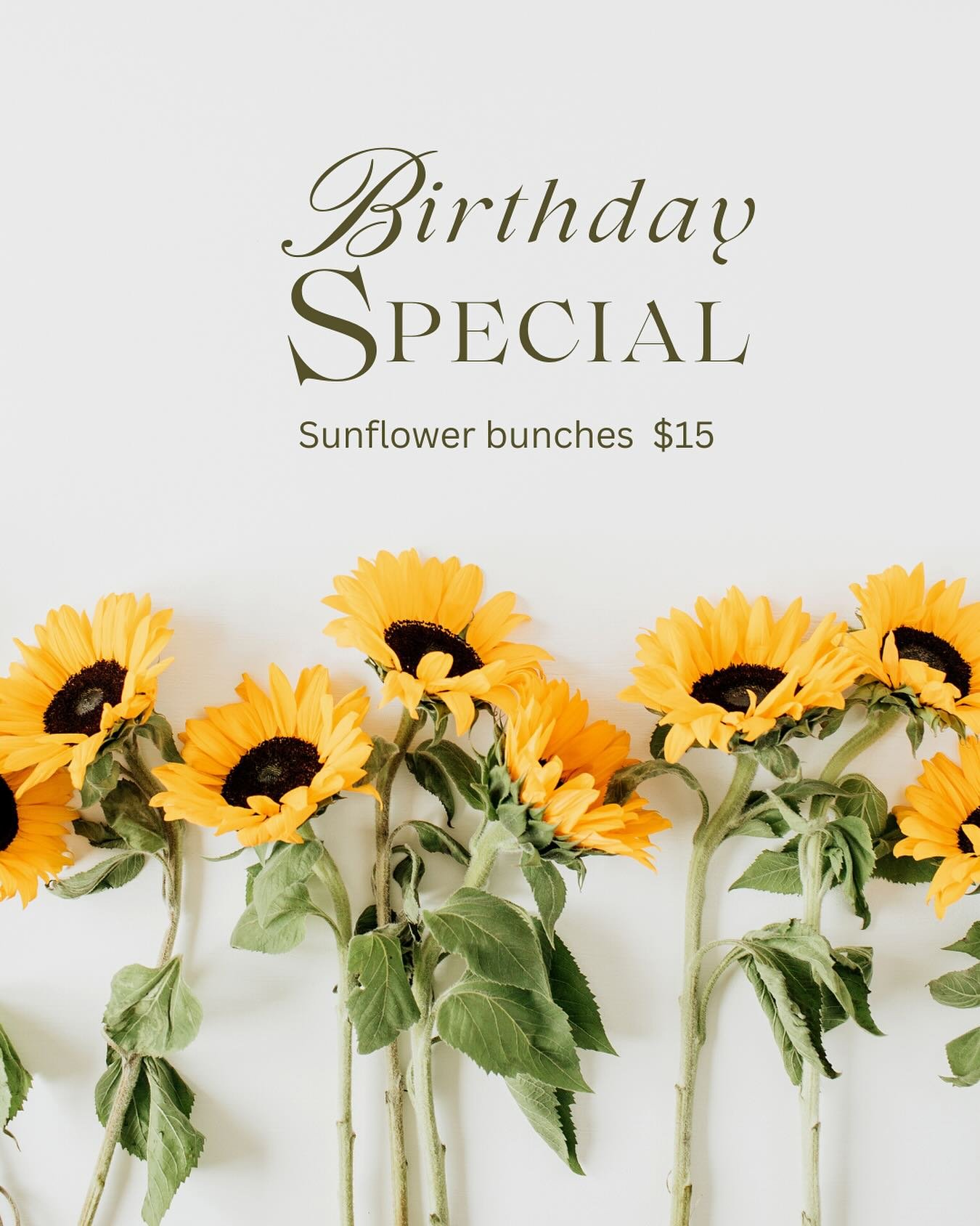 Super Sunflower Special now available in store. 
Pick up a bunch of sunshine $15 
Get in Quick!