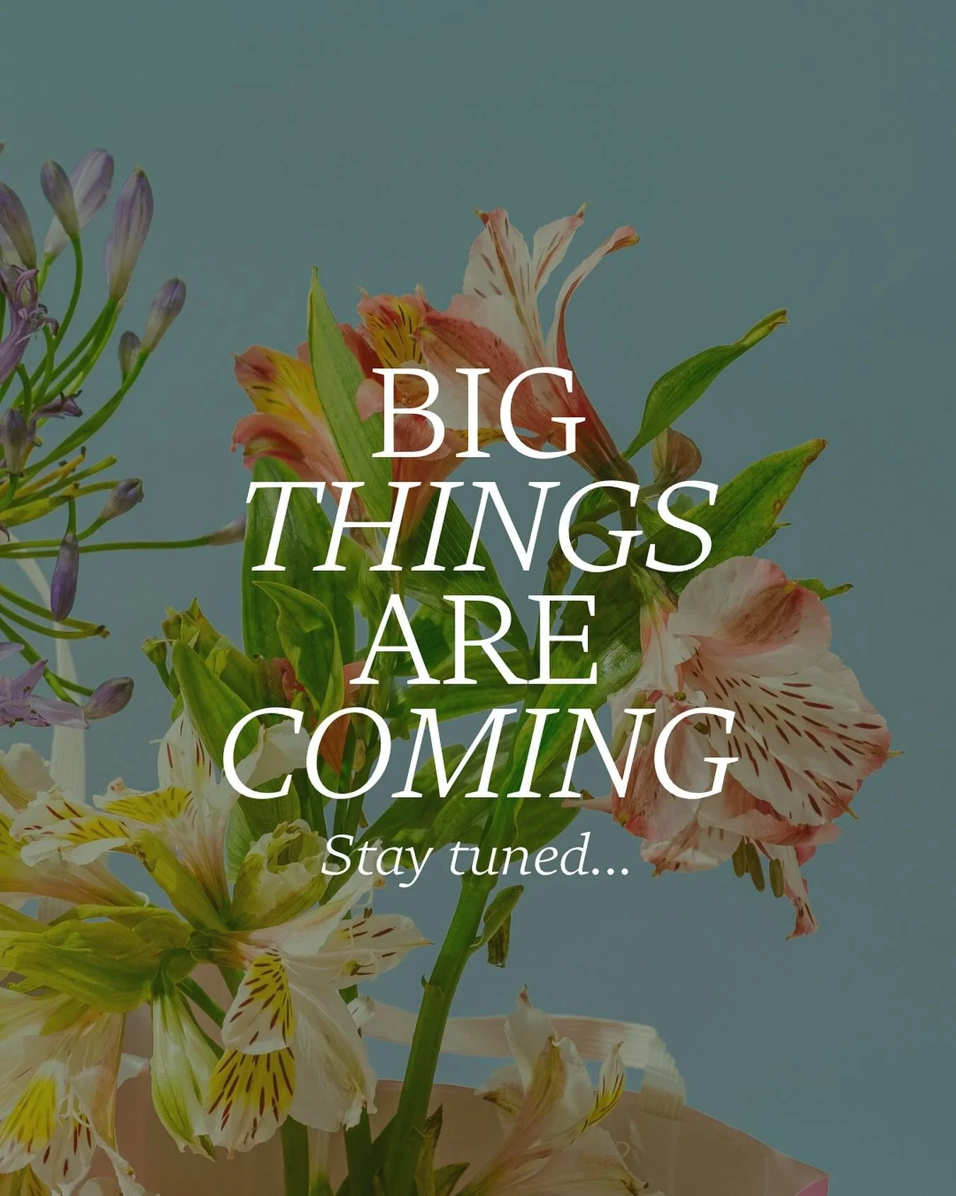 We&rsquo;ve been working on something very special behind the scenes &hellip;.and it&rsquo;s almost time to share. 
It&rsquo;s a big step for us and we are feeling equal parts excited and emotional. 
Any guesses what we&rsquo;ve been up to?
Drop them