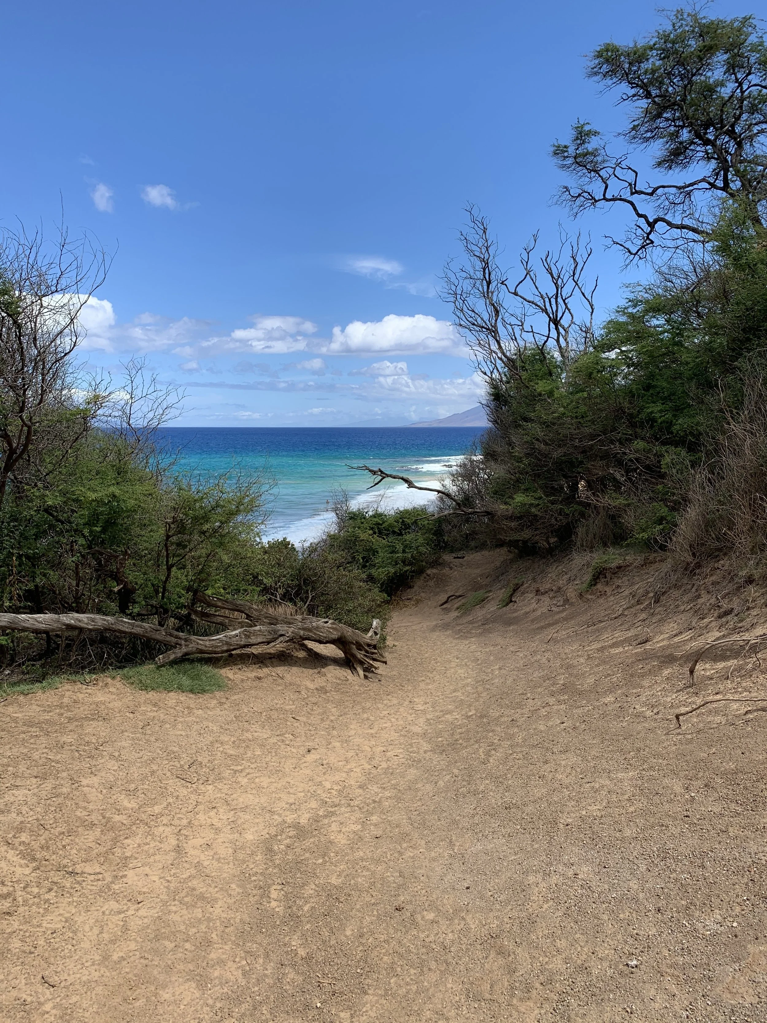 una spiaggia fuori città 